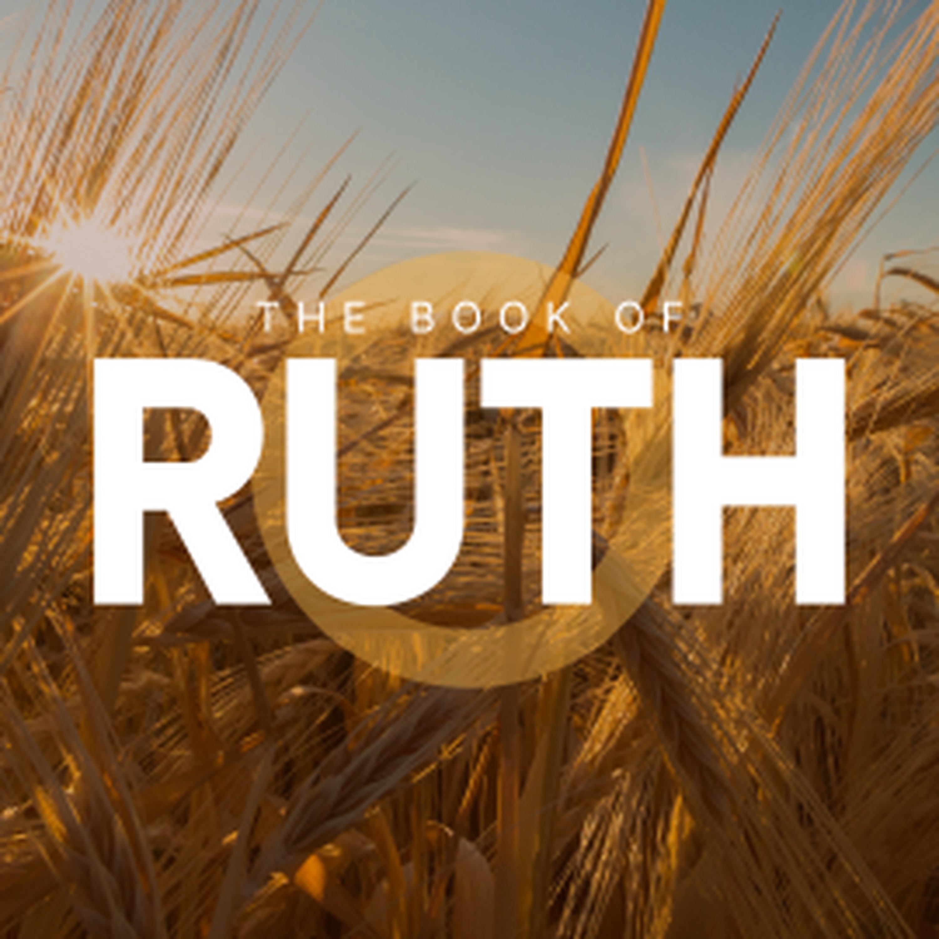 Ruth 2 | Understanding Redeeming Love episode artwork