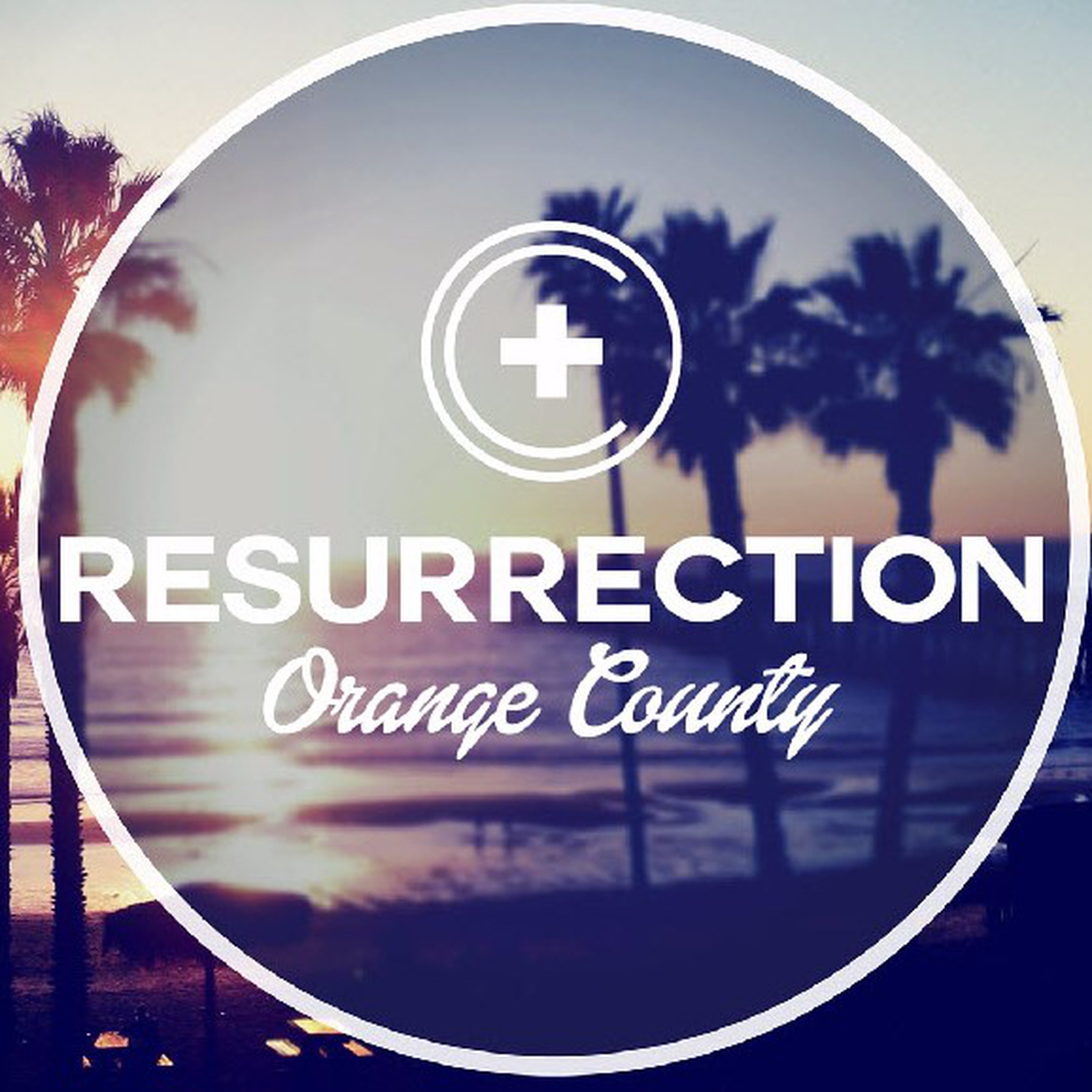 The System is Rigged episode artwork