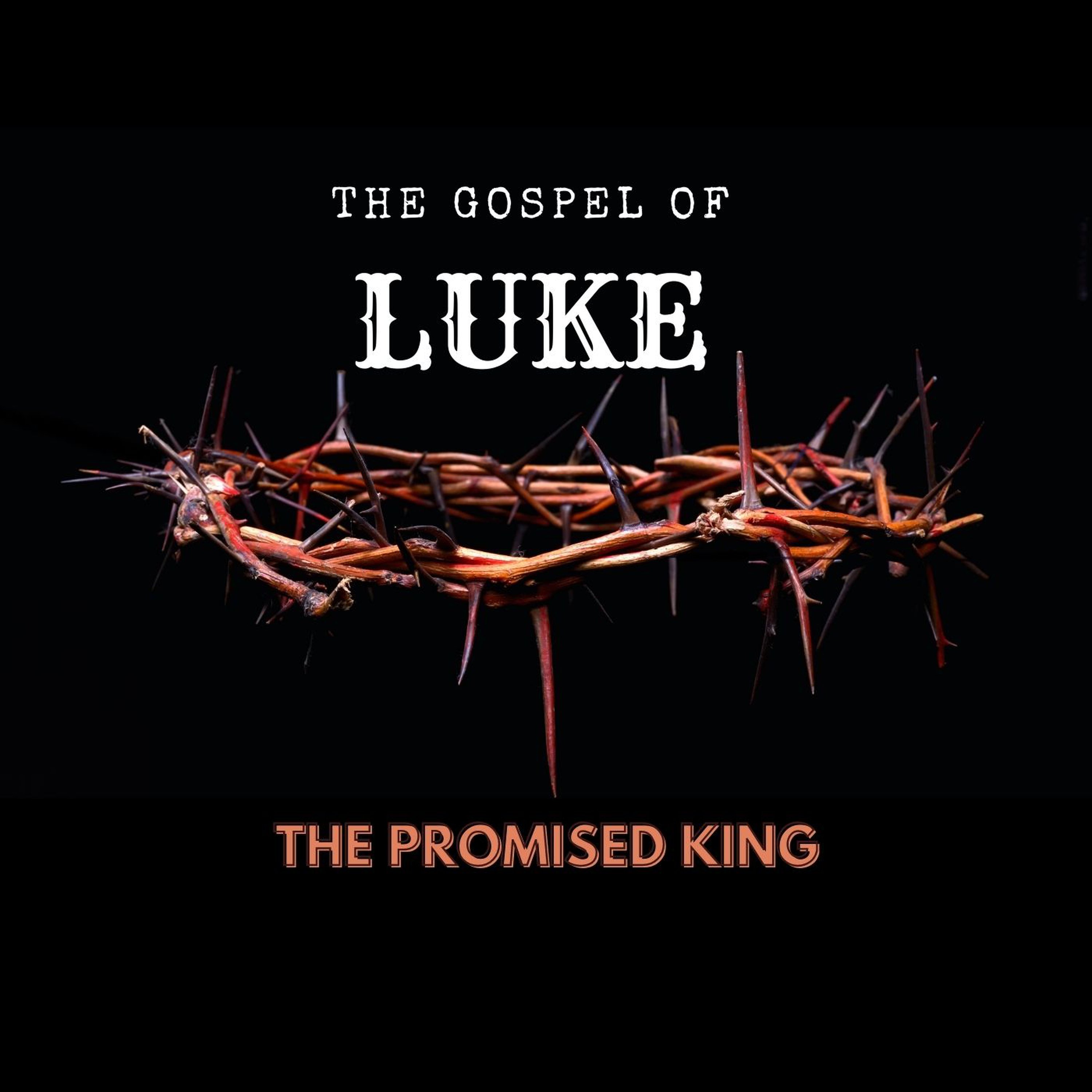 Luke 6 Plainly Speaking (2012) episode artwork