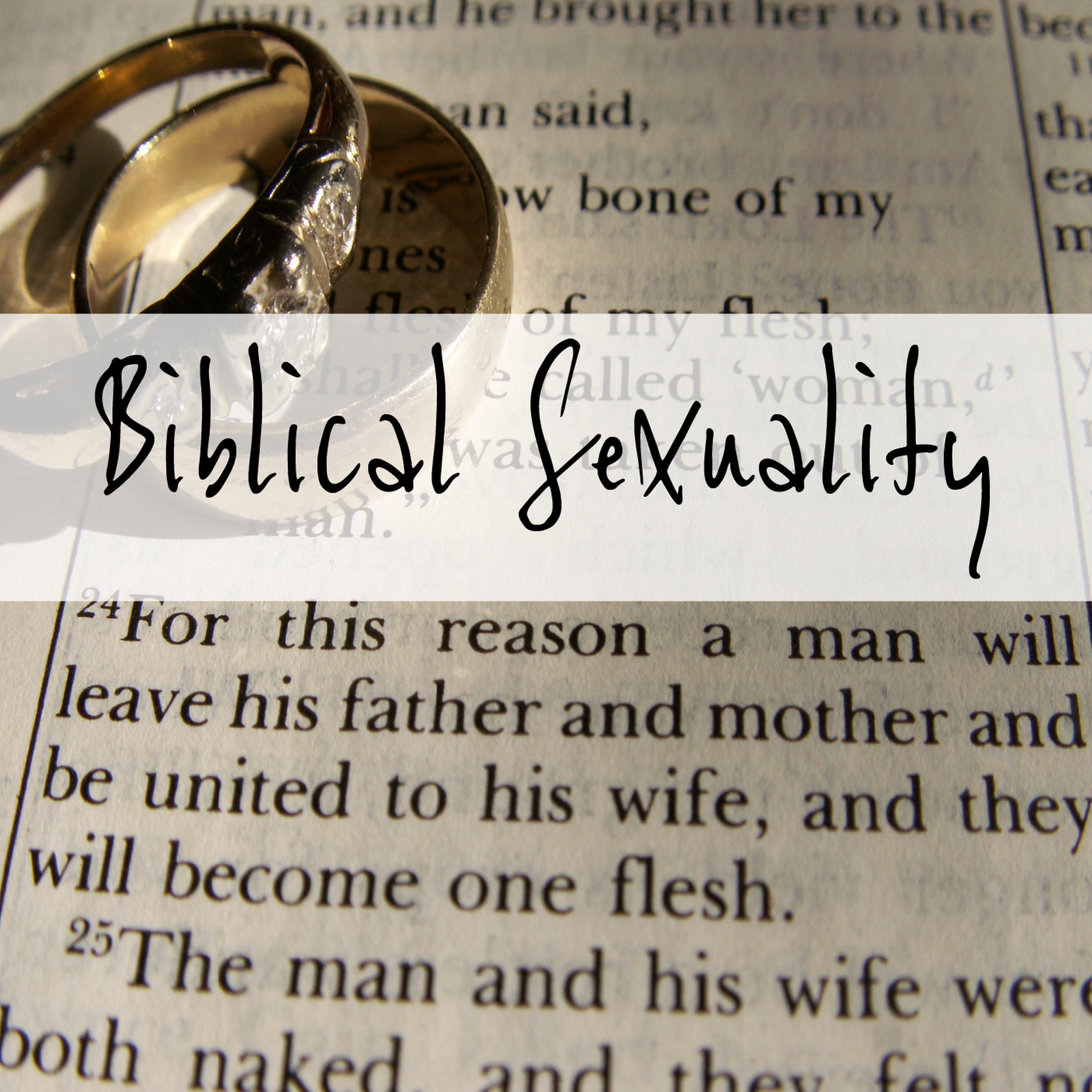 Biblical Sexuality episode artwork
