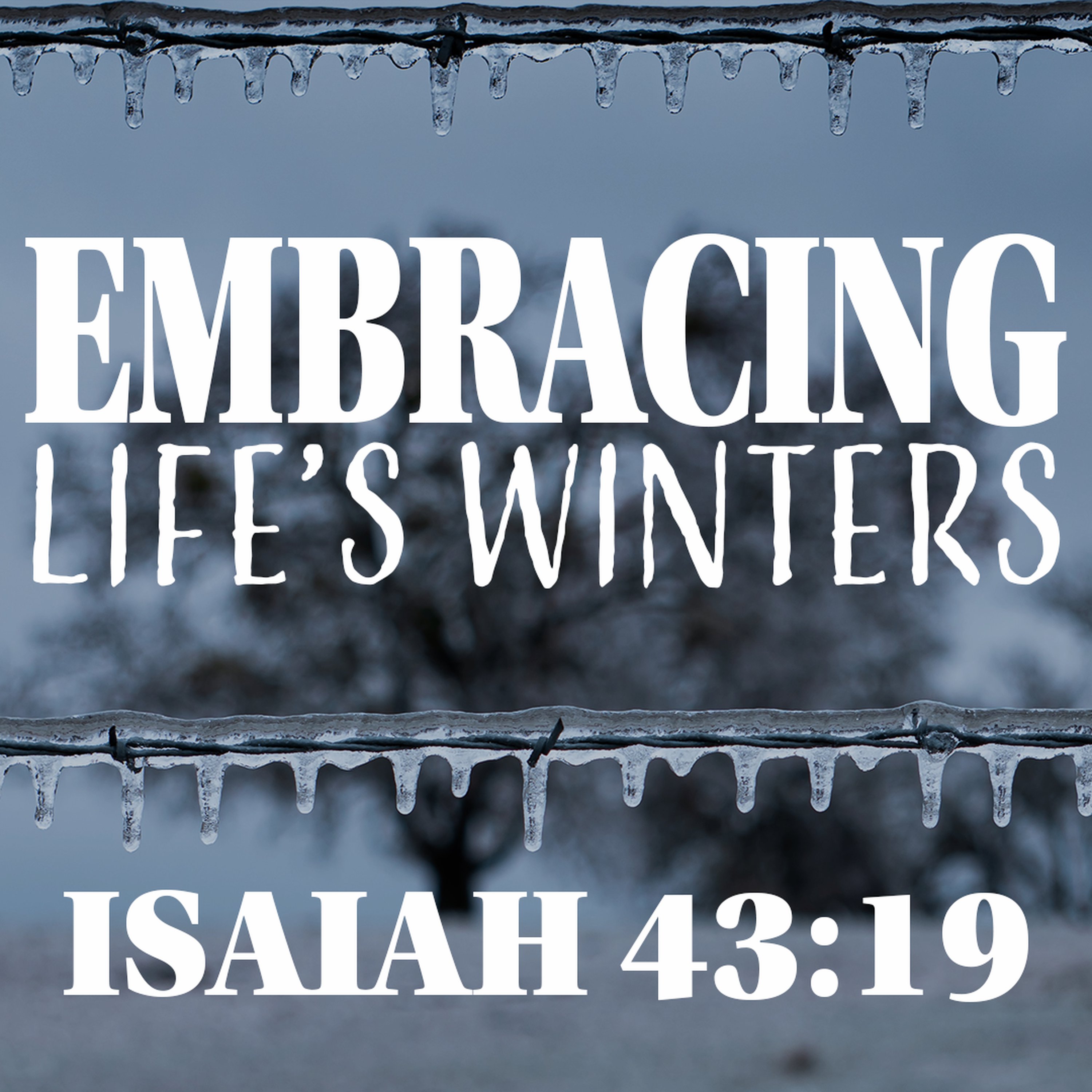 Trinity Alliance Sermon Podcast Feed