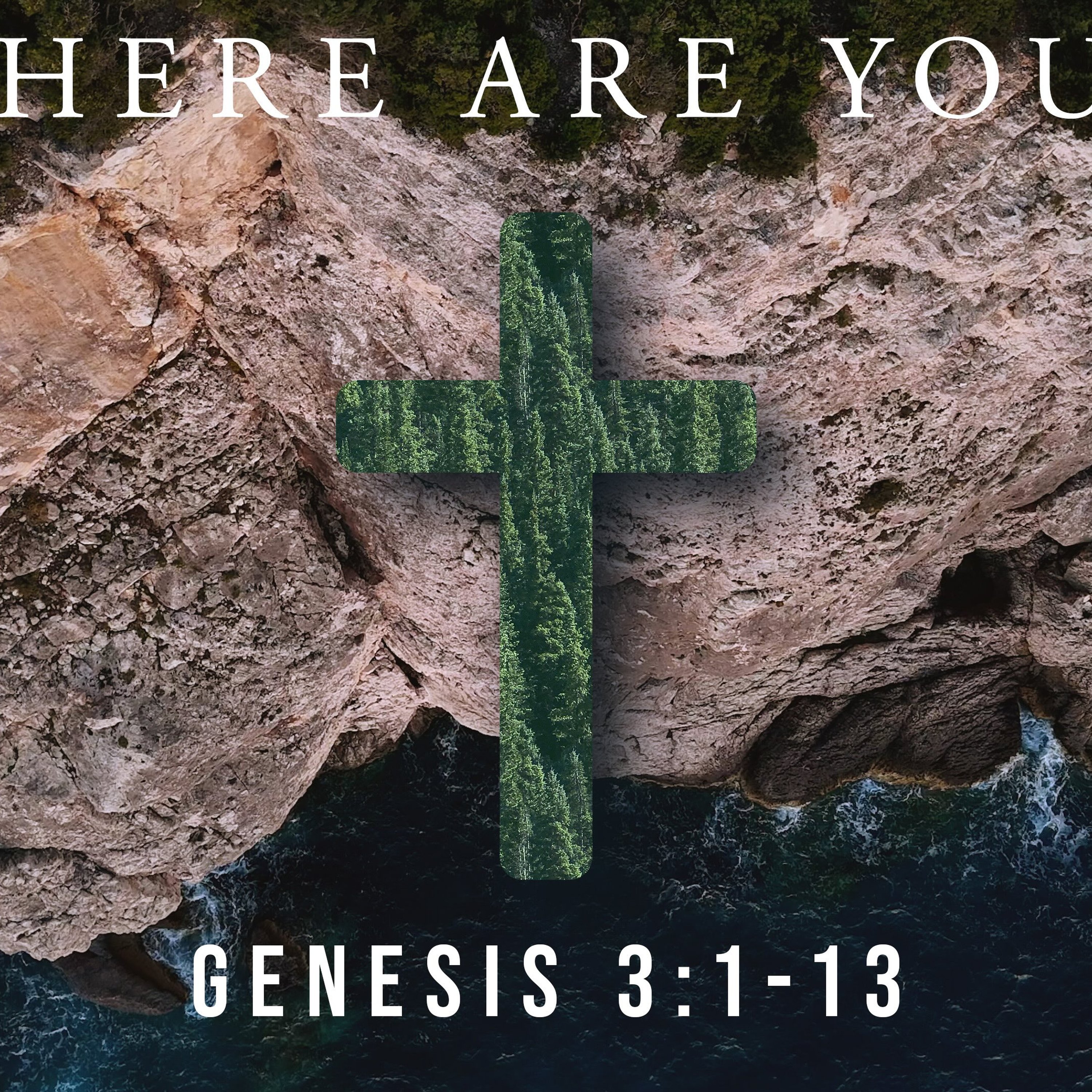 Where Are You? episode artwork