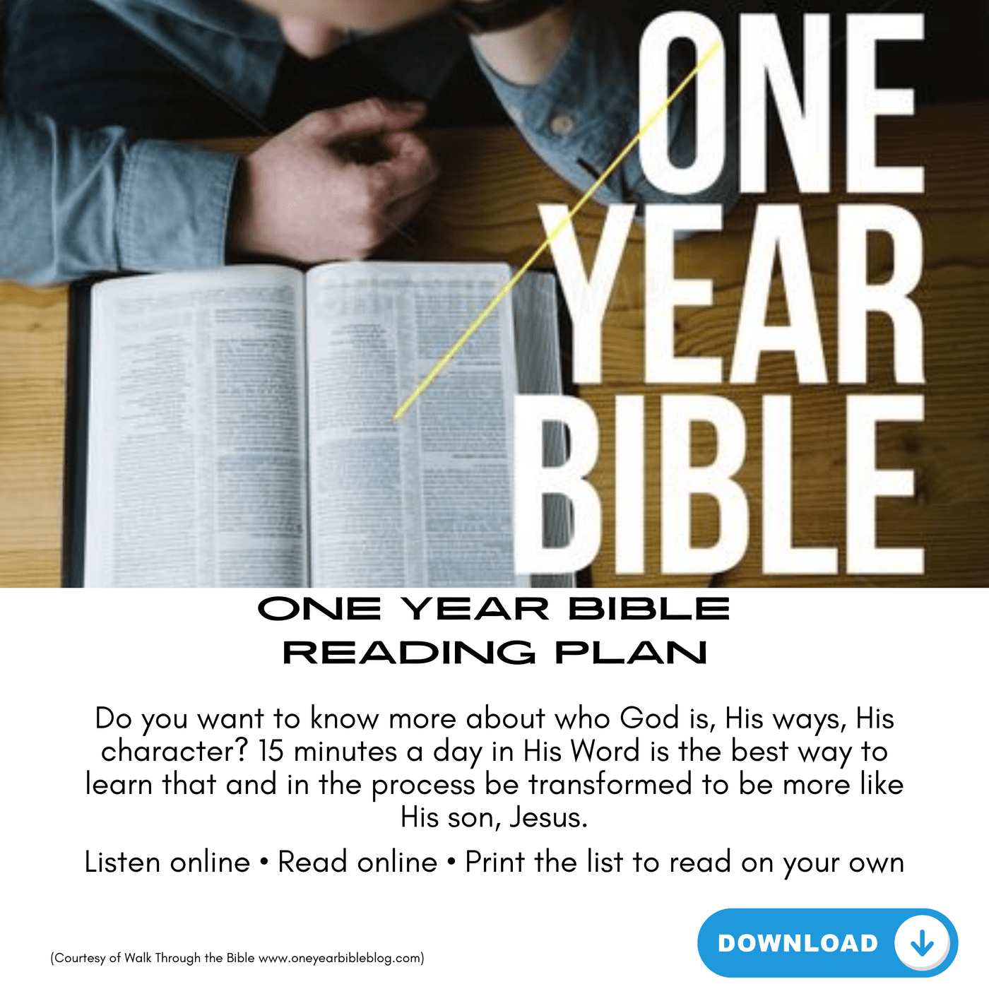 one year bible reading plan