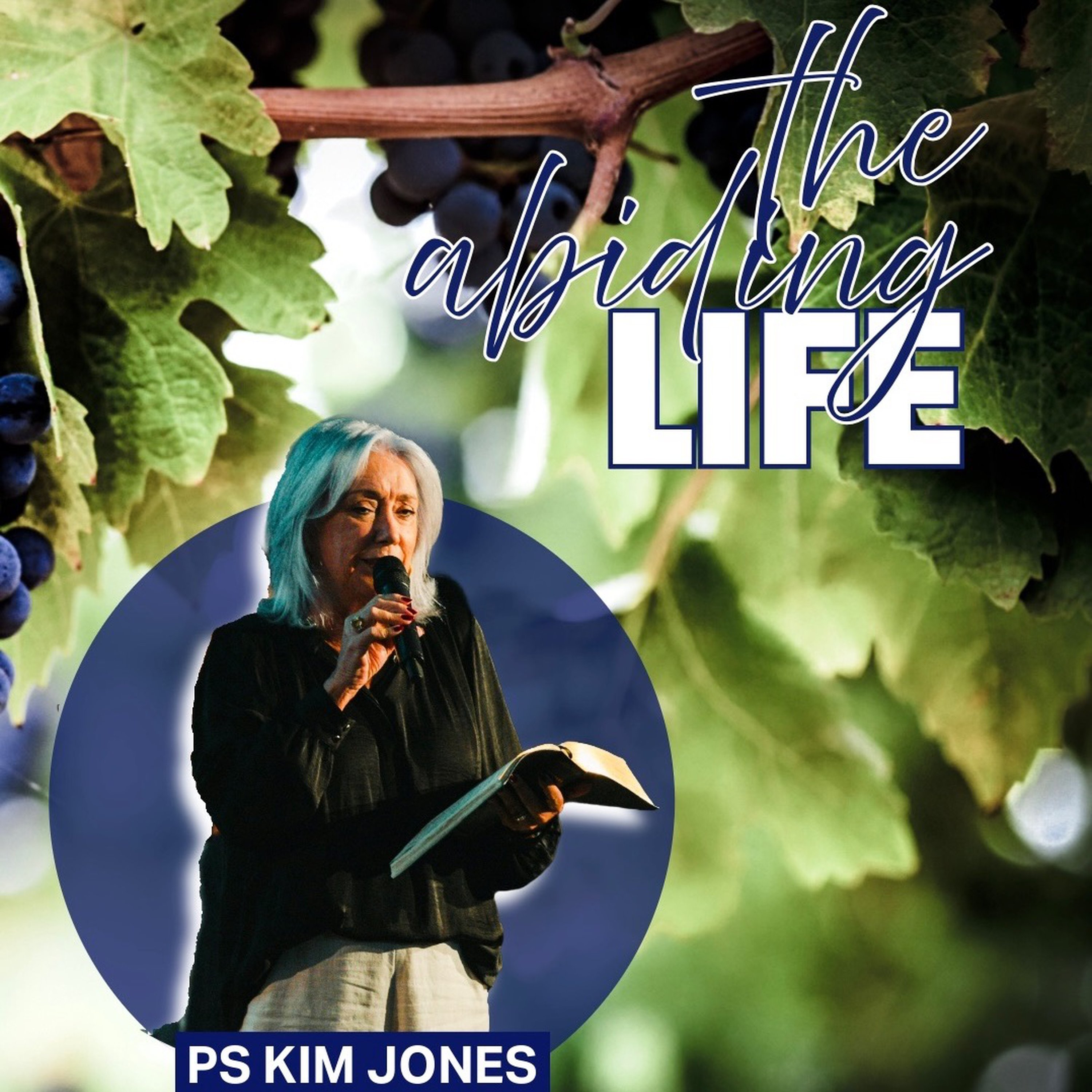 The Abiding Life - Part 2 episode artwork