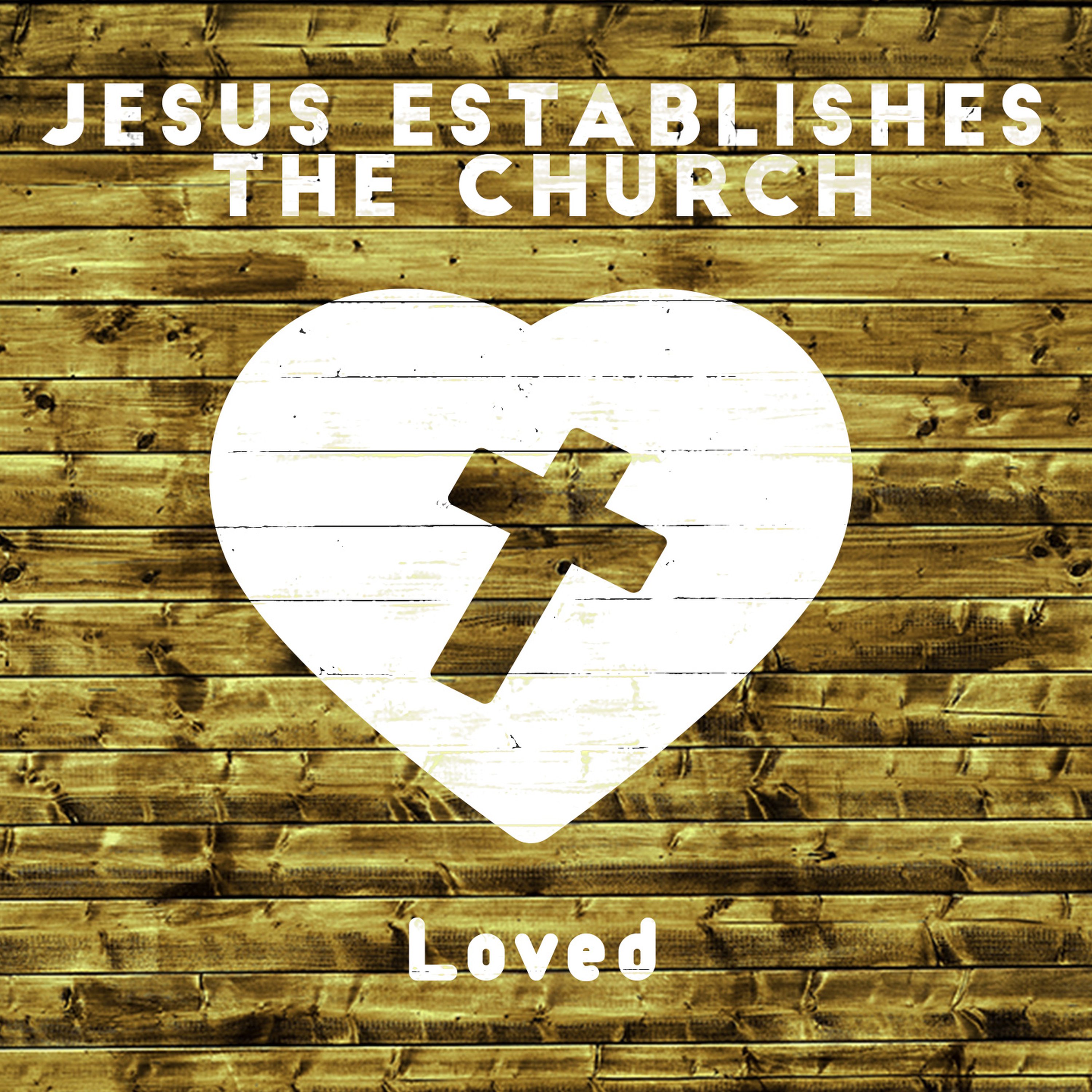 Jesus Established - Loved episode artwork