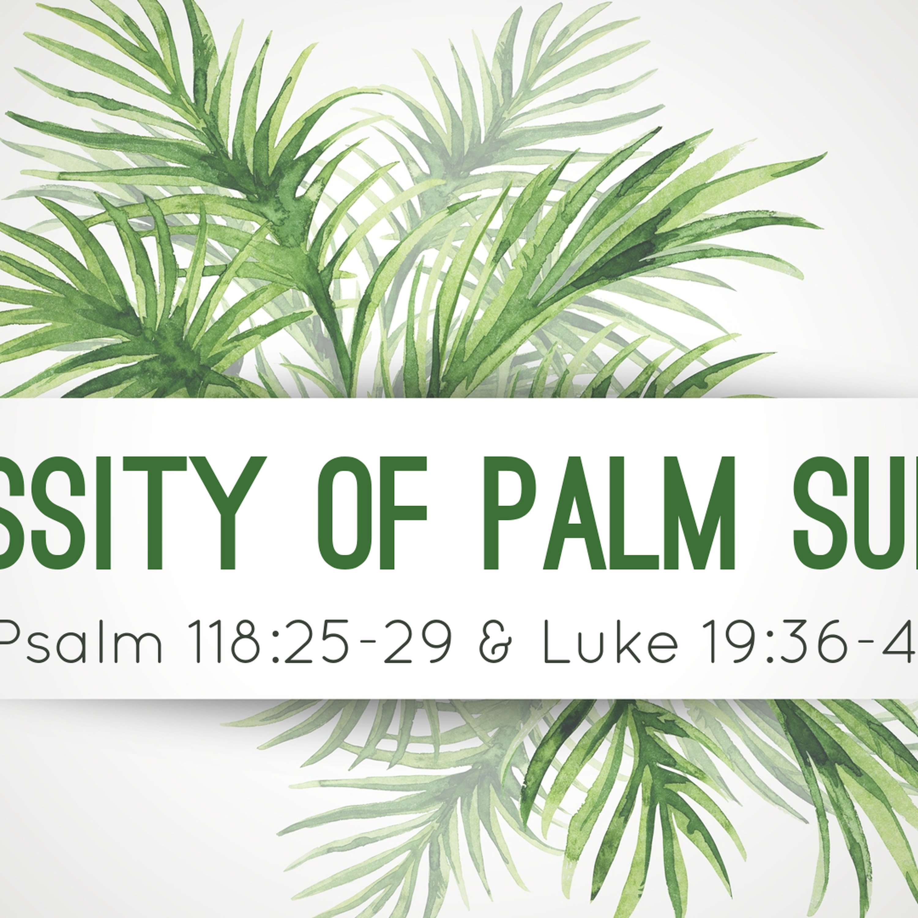 Necessity of Palm Sunday episode artwork