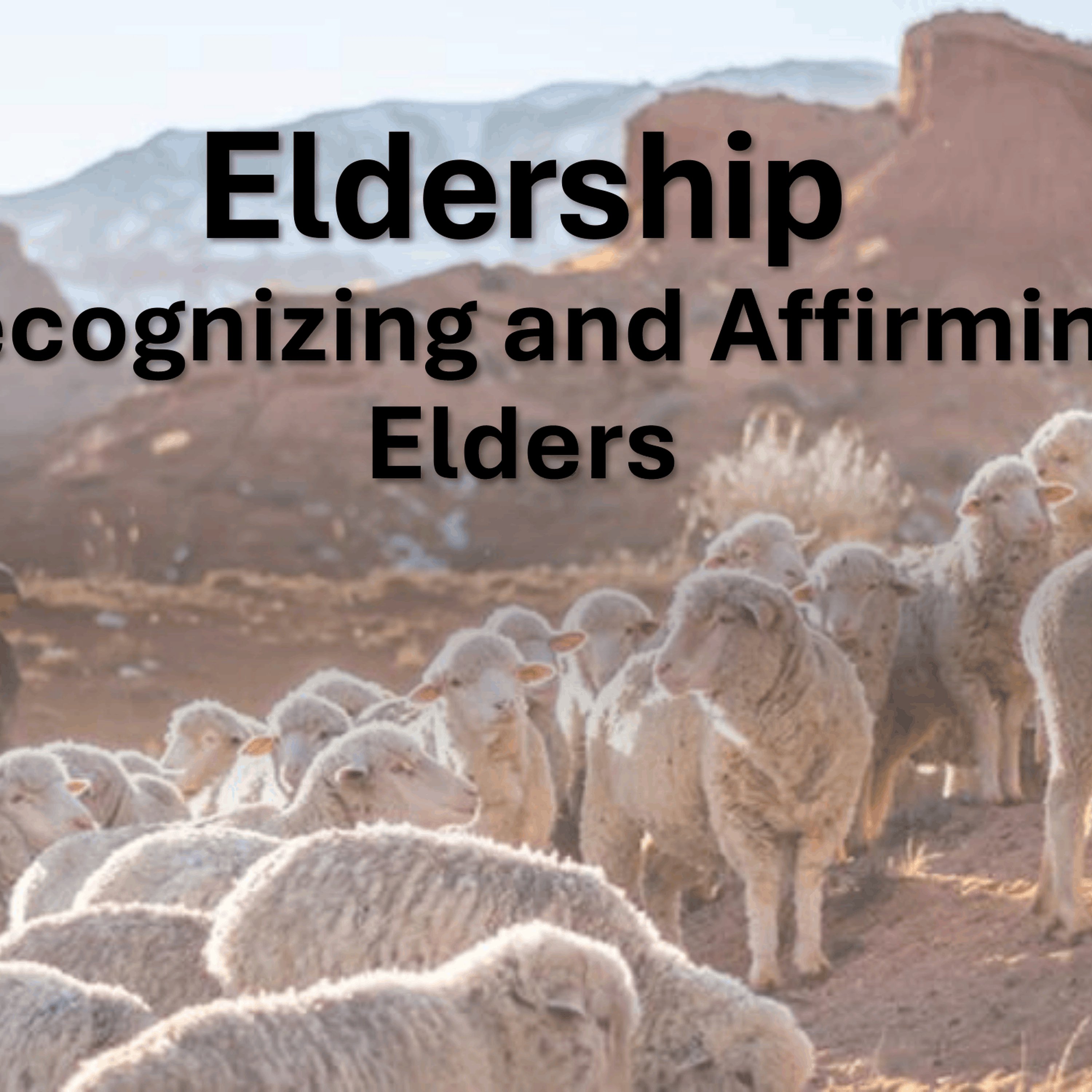 Eldership: Recognizing and Affirming Elders episode artwork