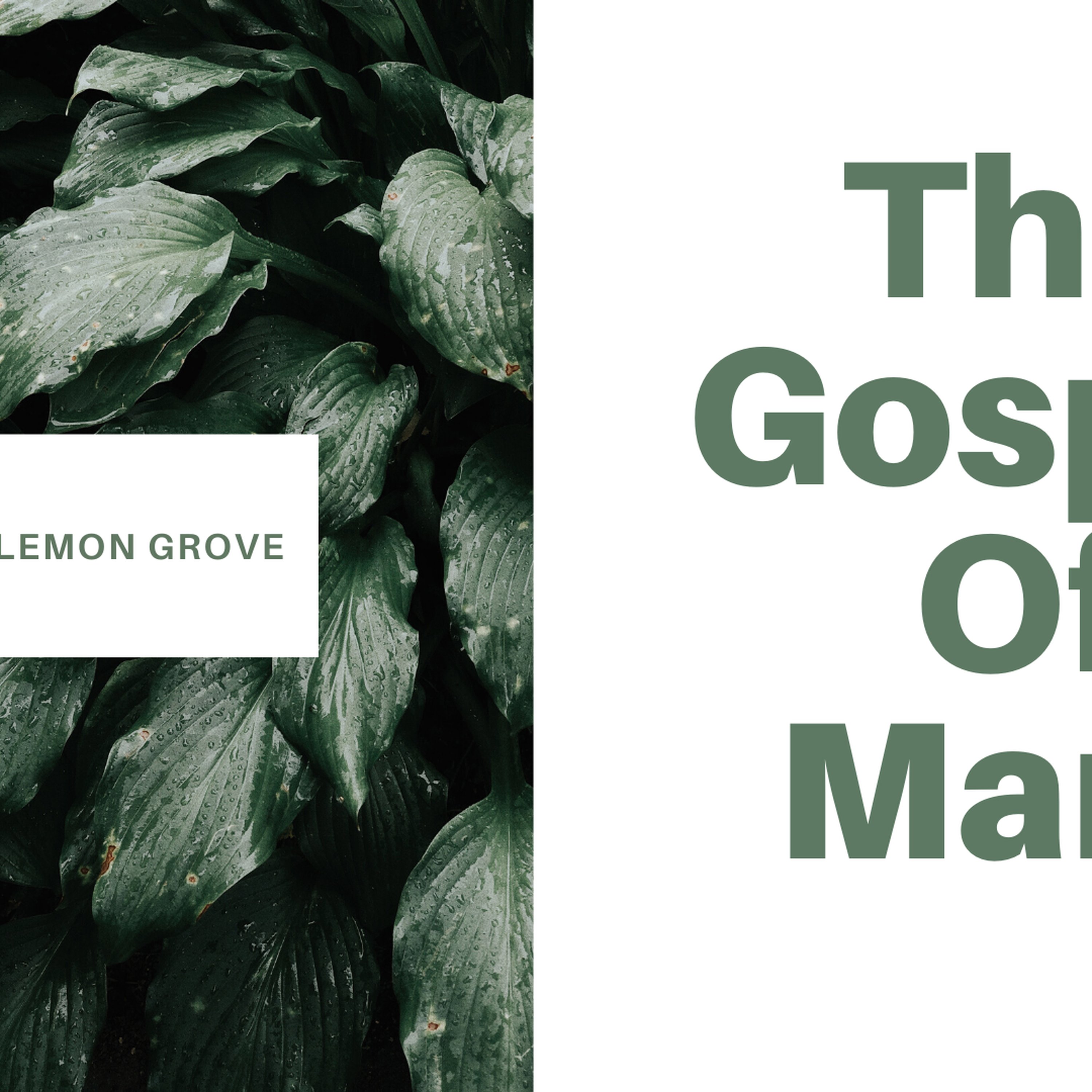 New Vision Lemon Grove 1.3.2020