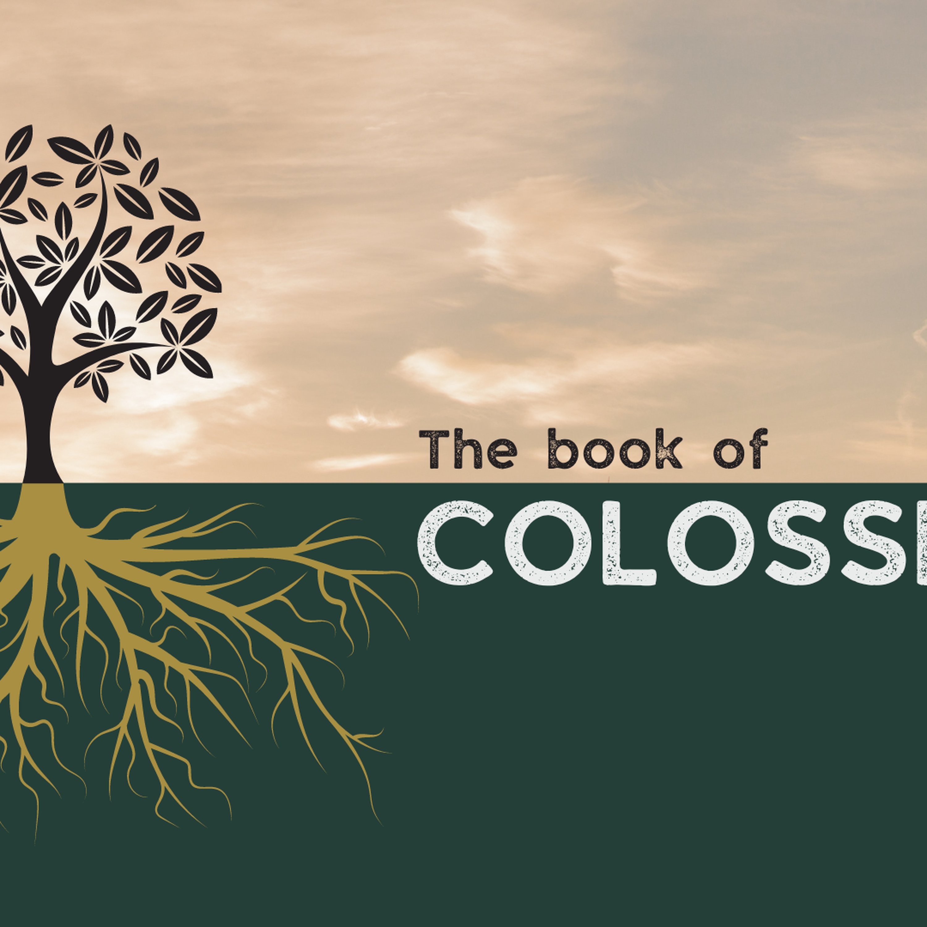Walk On - Colossians 2:1-12 episode artwork