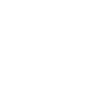 welcome to branches