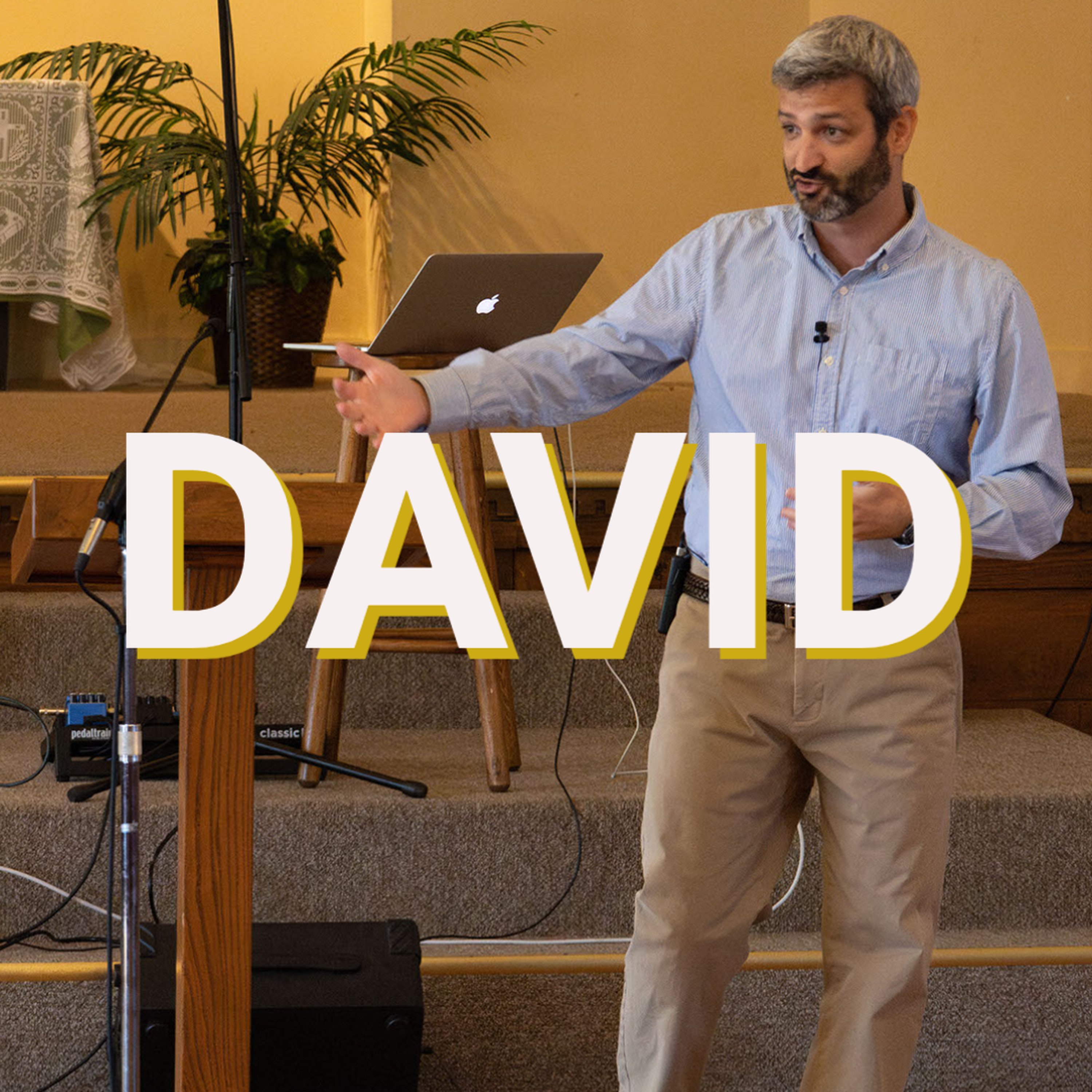 David episode artwork