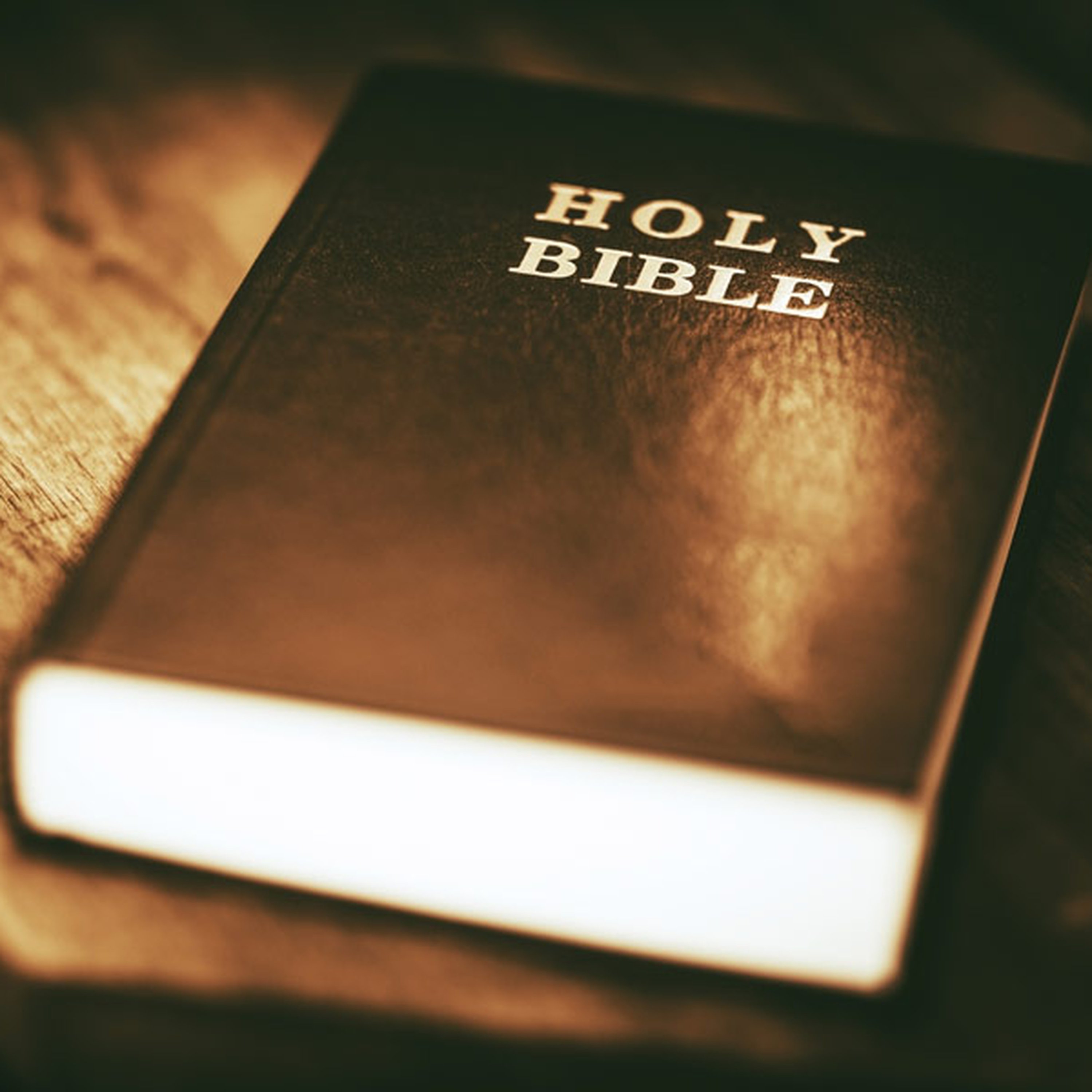 Bible 101 Lesson #7