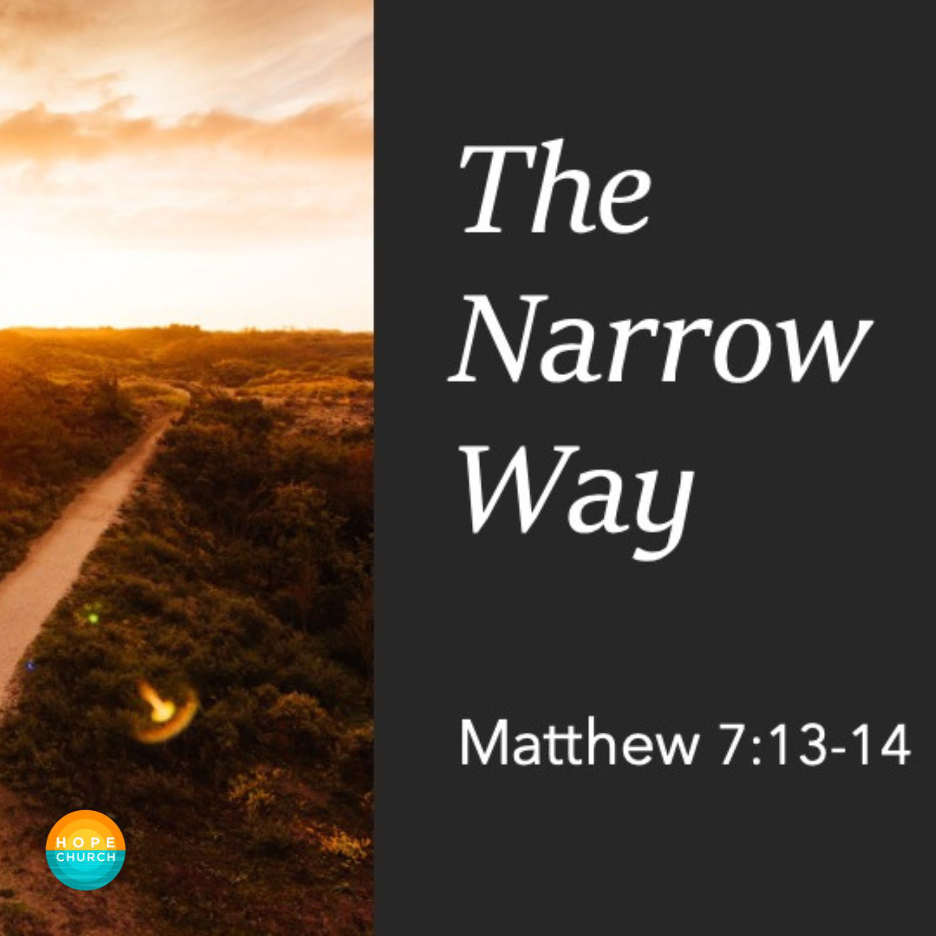 The Narrow Way episode artwork