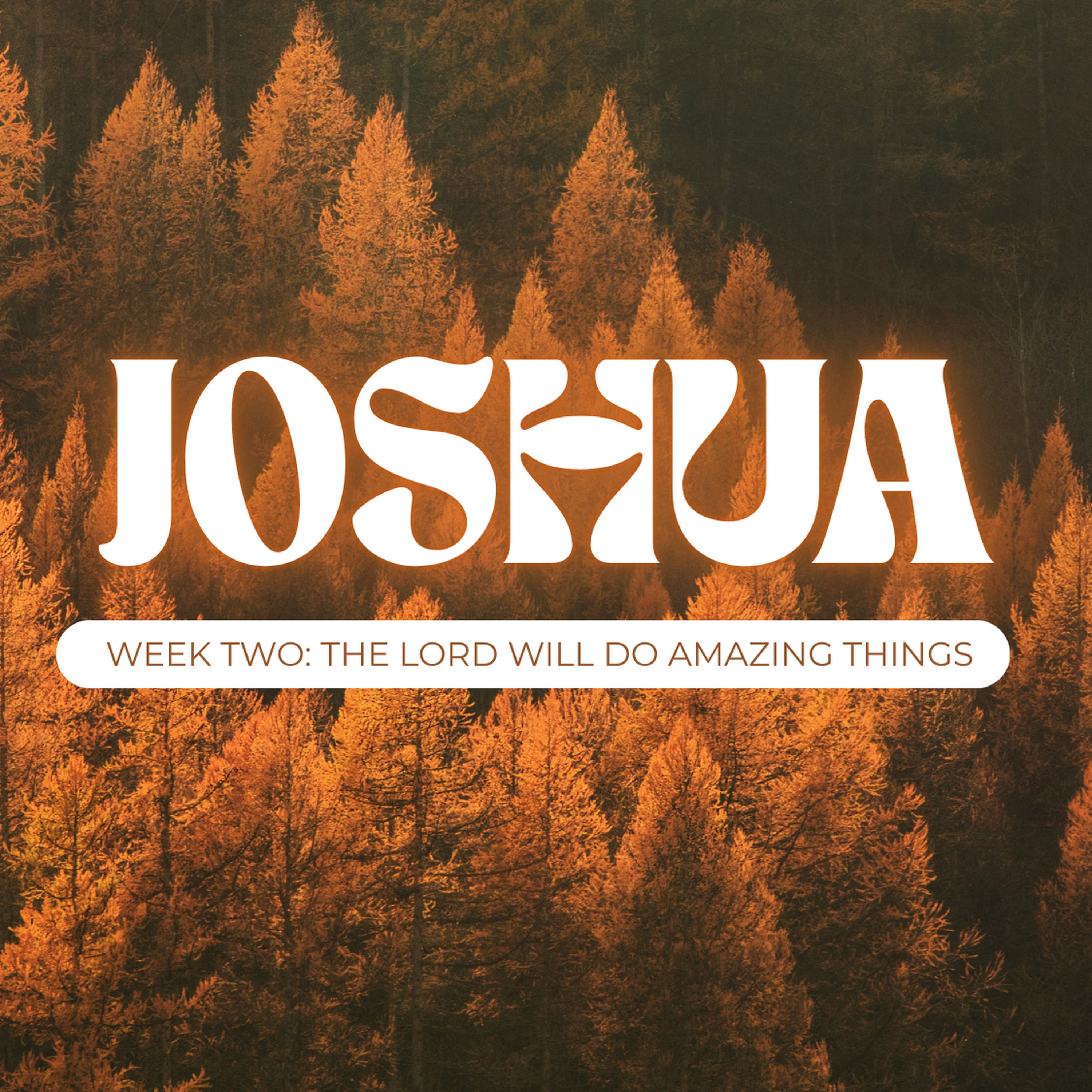Week Two: The Lord Will Do Amazing Things episode artwork