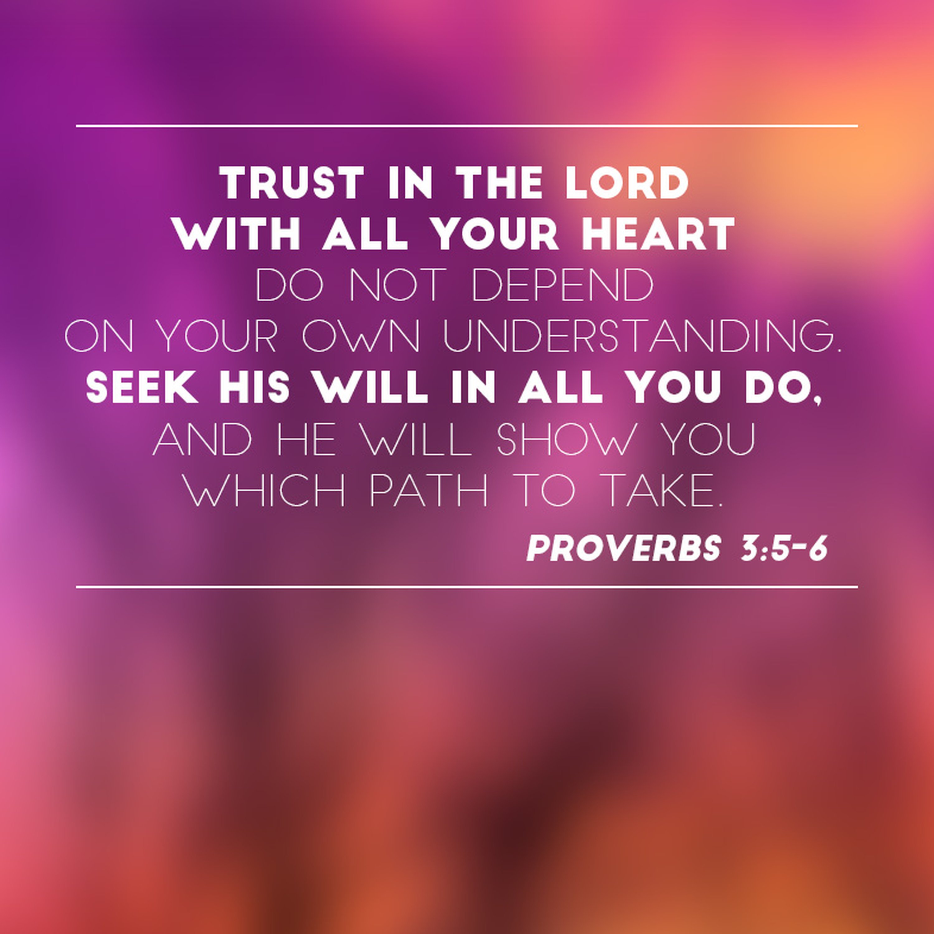 Trusting God's Path for us episode artwork