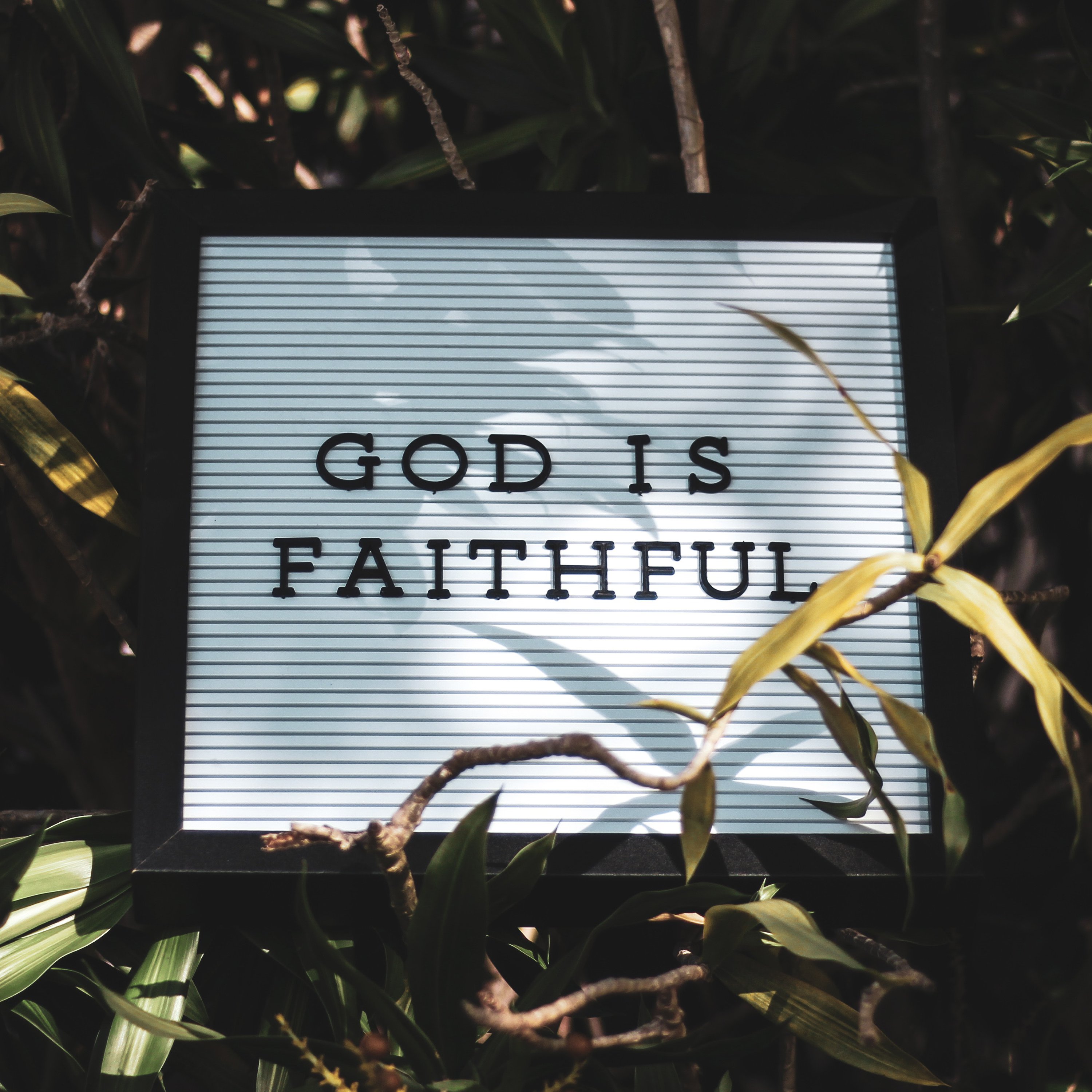 Have Faith in God - Mark 11.20-26 episode artwork