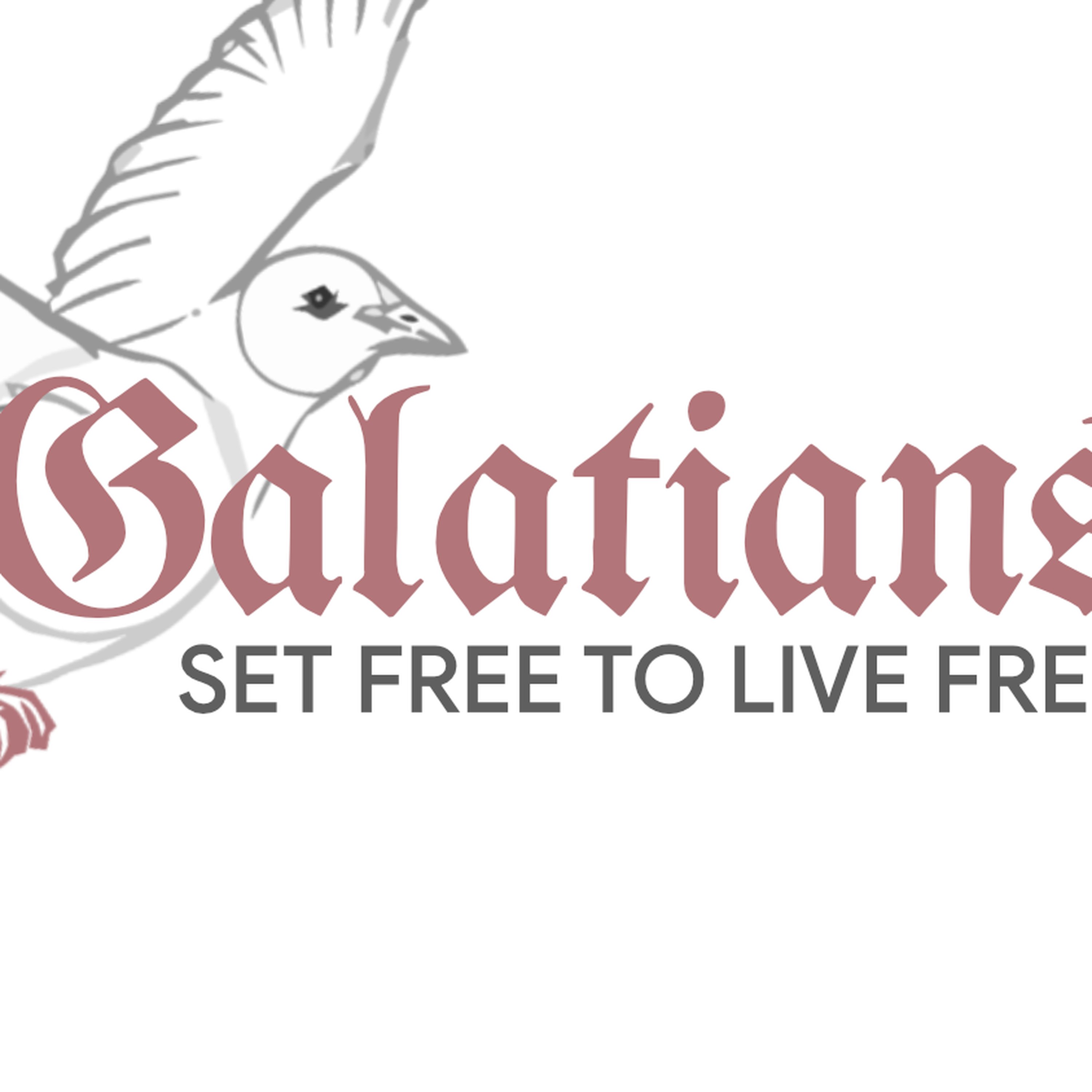 Welcome To Walloon Church