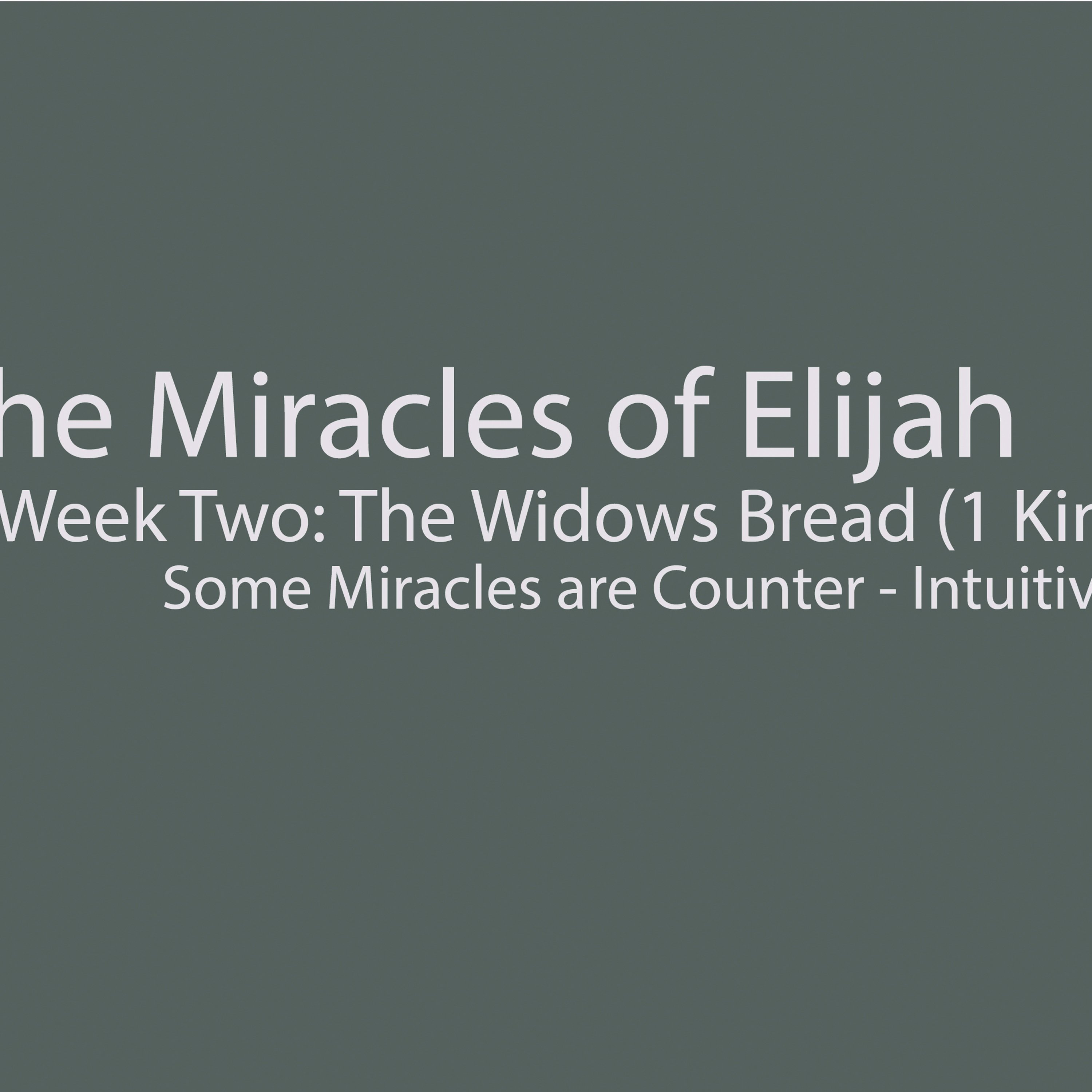 The Widows Bread (1 Kings 17:7-9) episode artwork