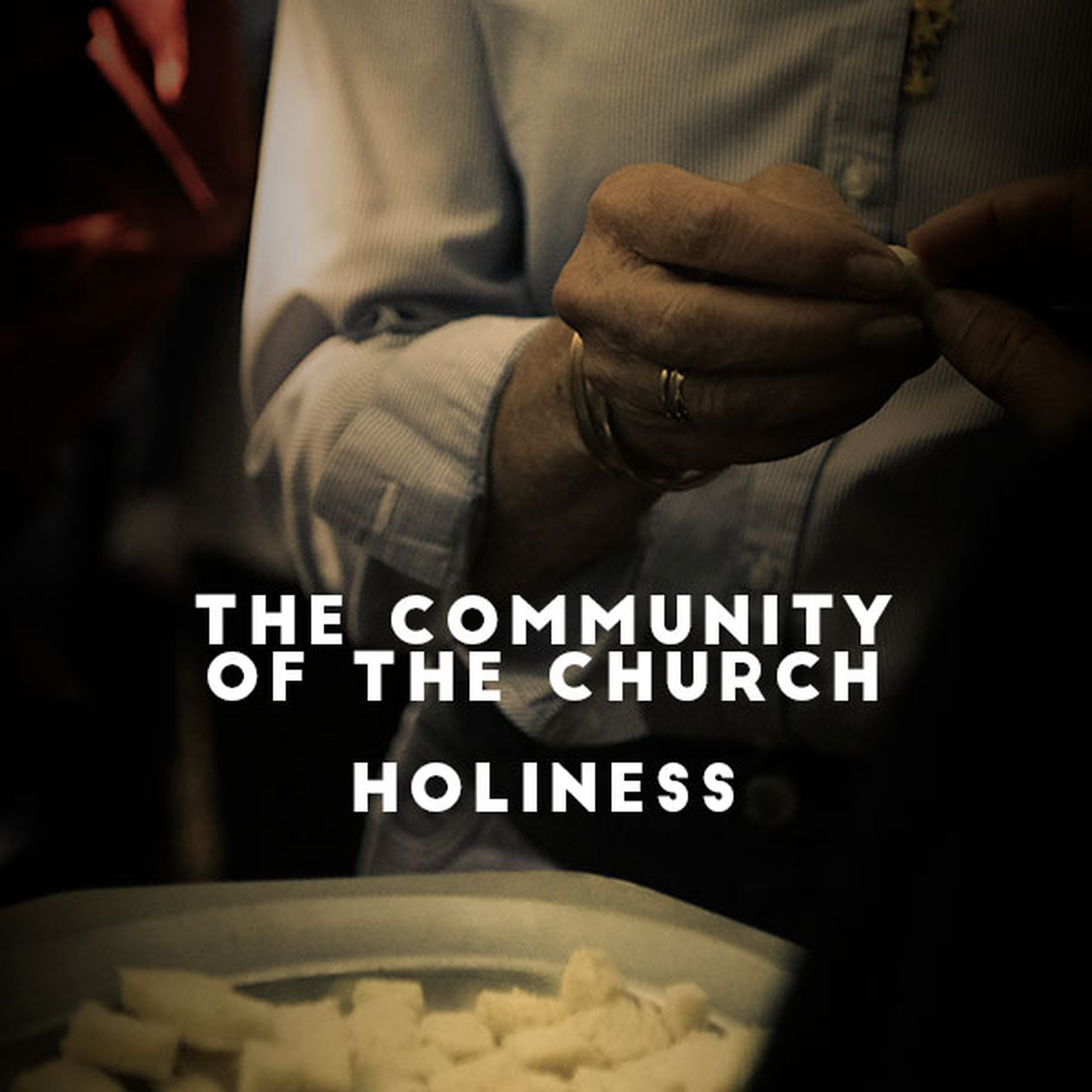 Community of Believers - Holiness episode artwork