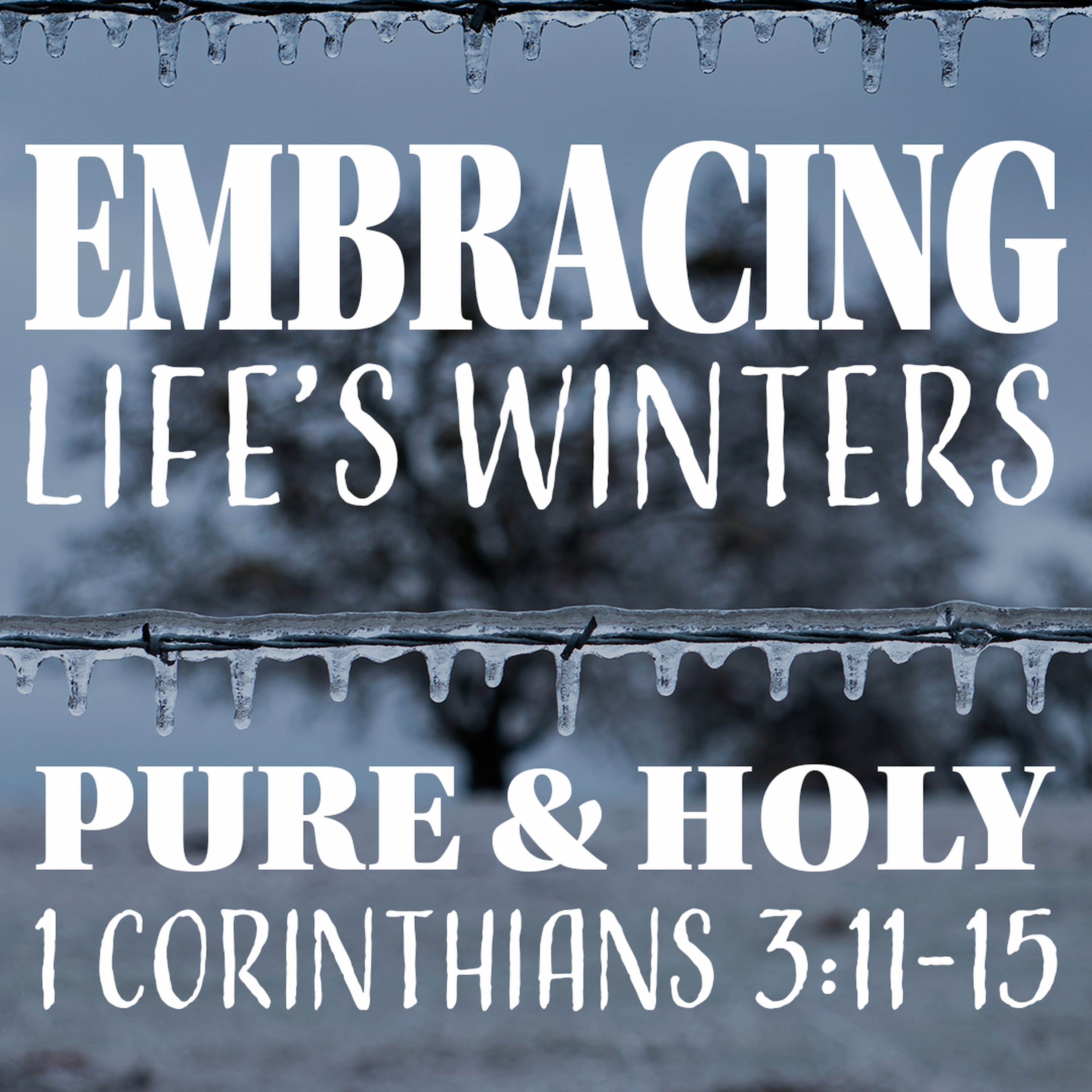 Trinity Alliance Sermon Podcast Feed
