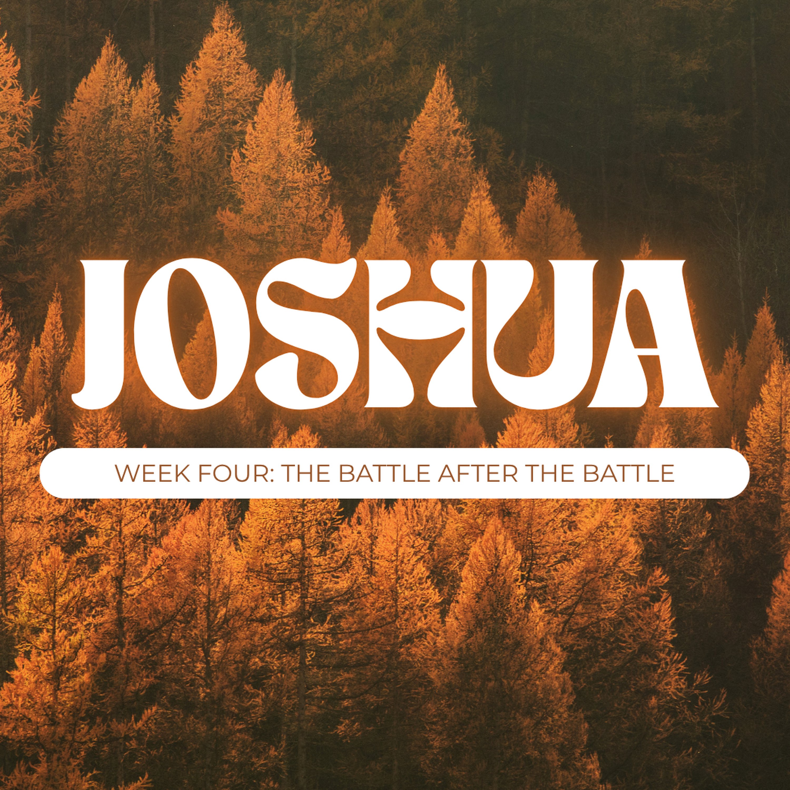 Week Four: The Battle After the Battle episode artwork