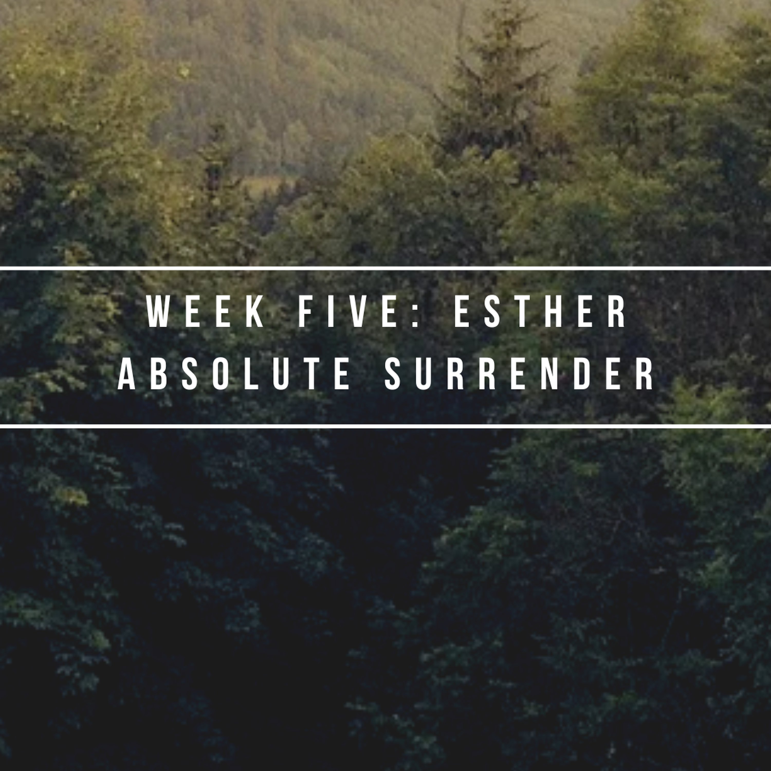 Week Five: Esther episode artwork