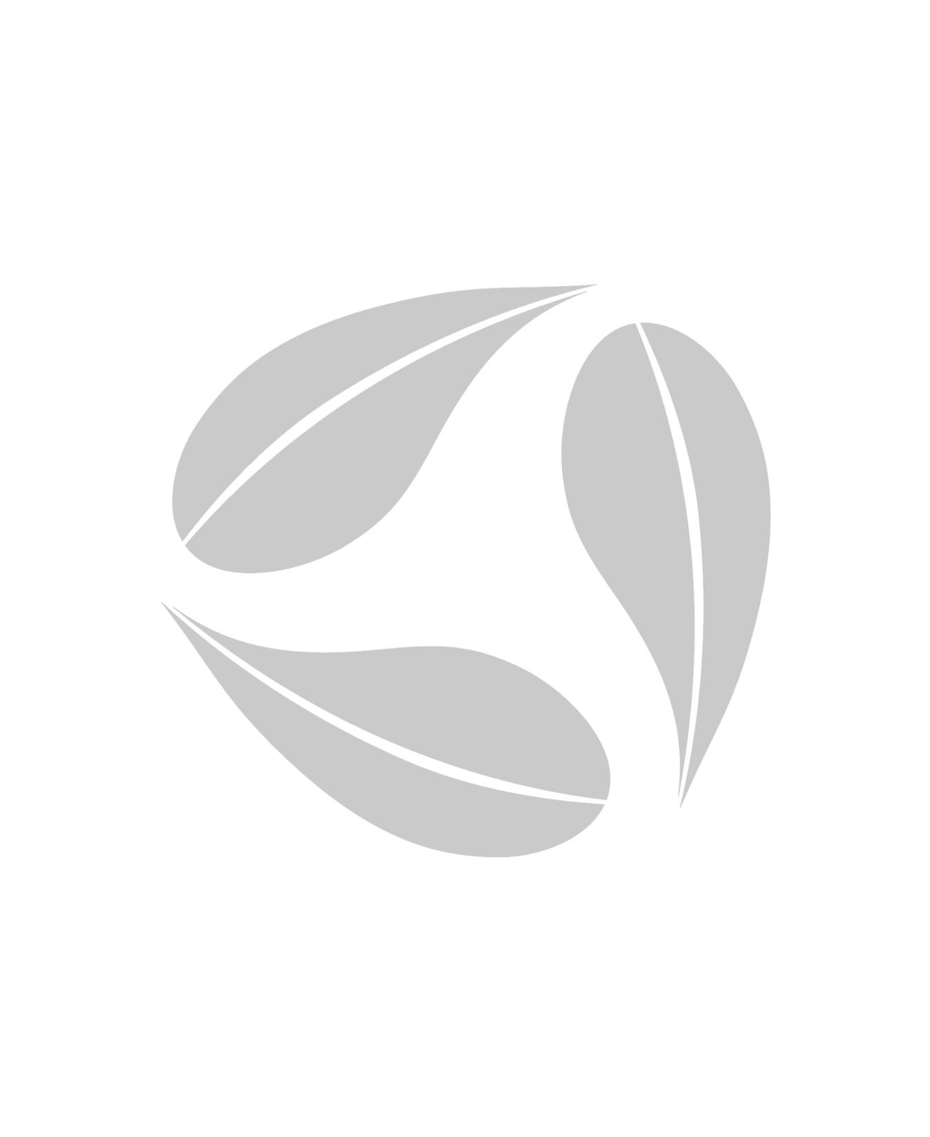 God's Olive Branch 1