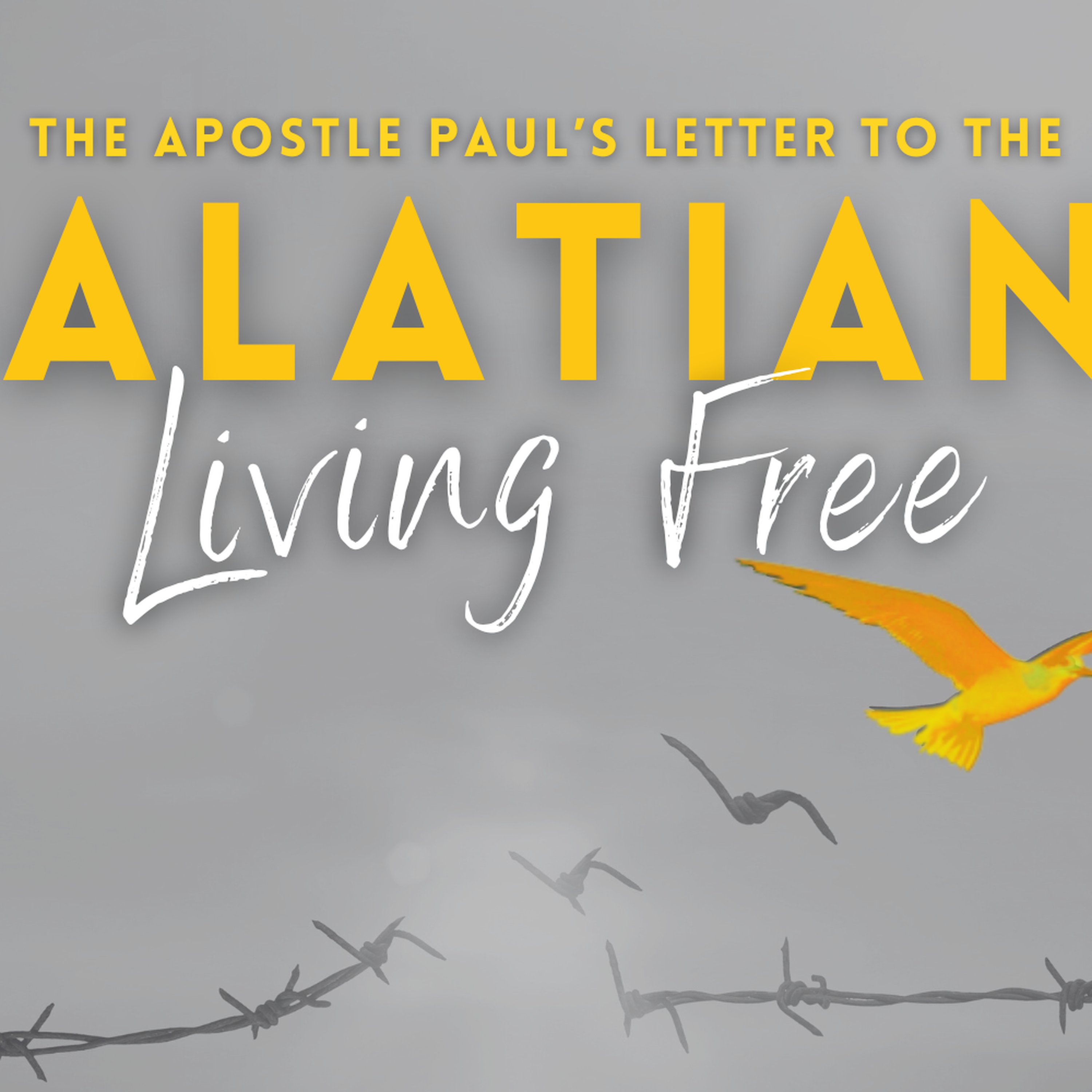 Galatians 4:21-5:15 / Josh Lewis / 25th August 2024 episode artwork