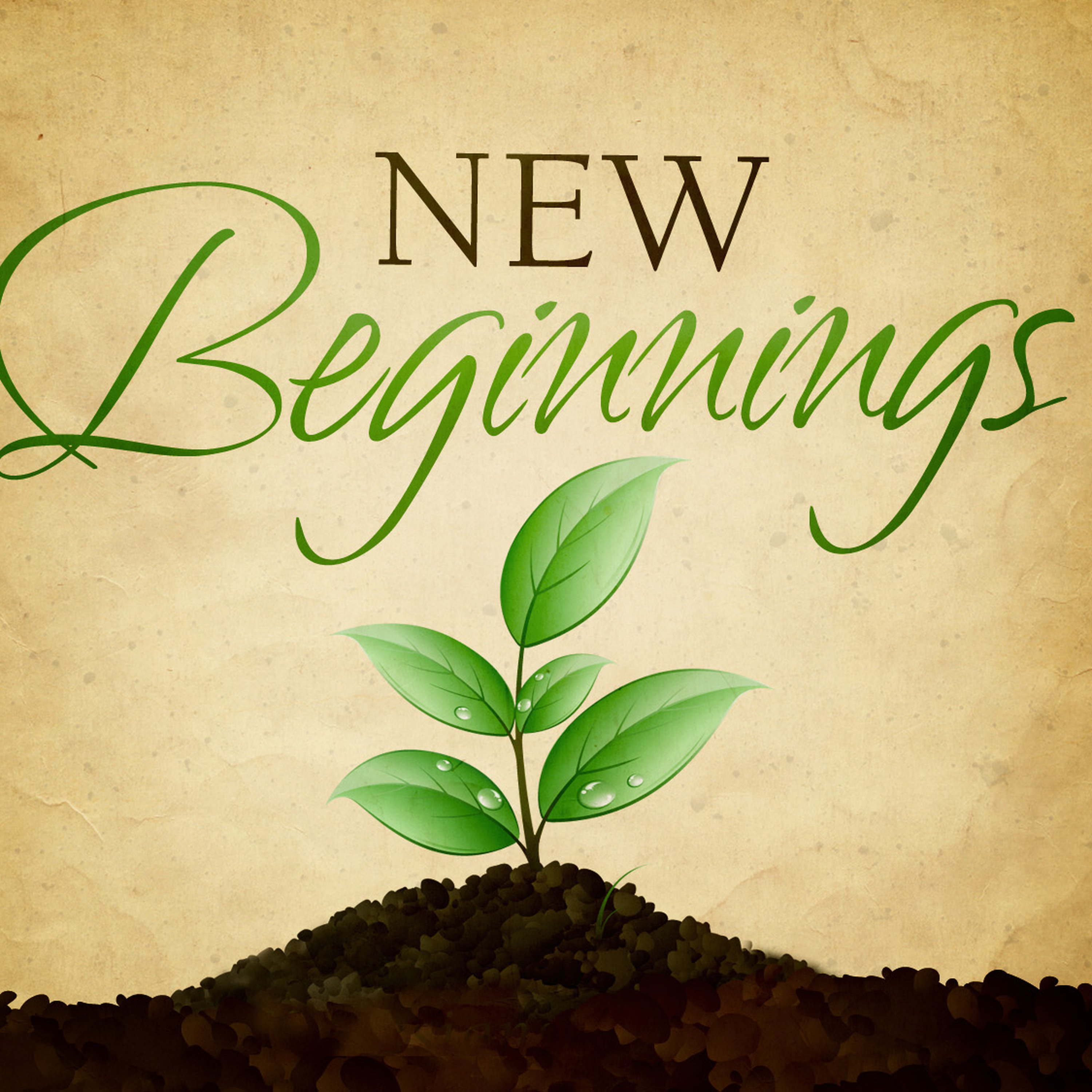 New Beginnings