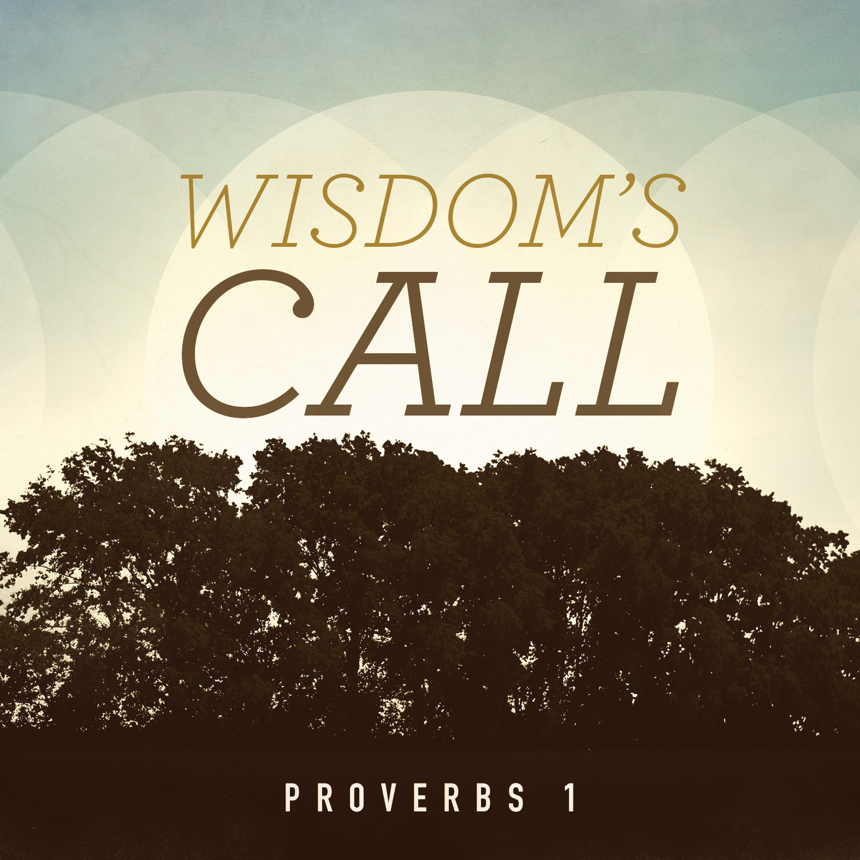 Wisdoms Call episode artwork