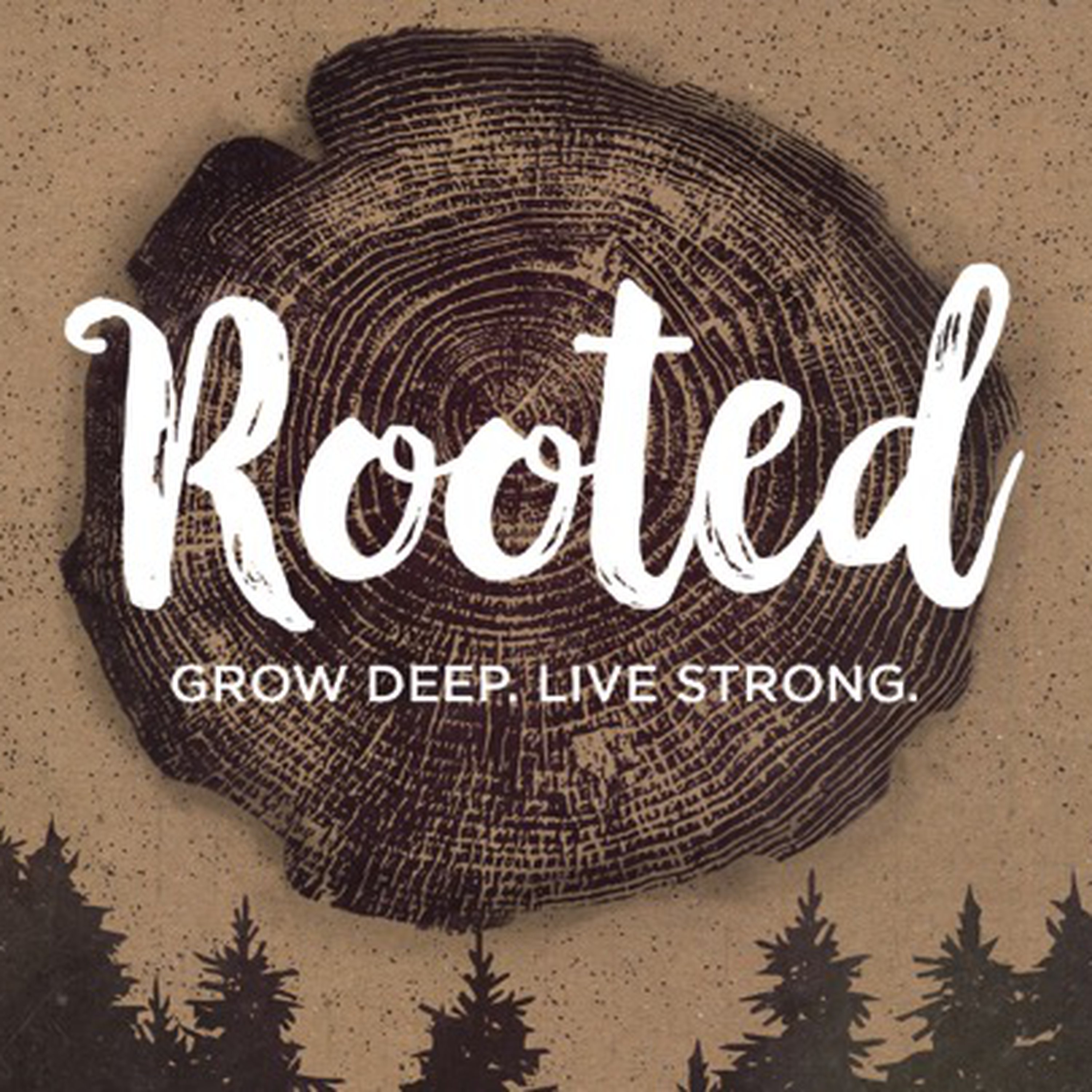 Triad Adventist Fellowship -- 2020 and Beyond