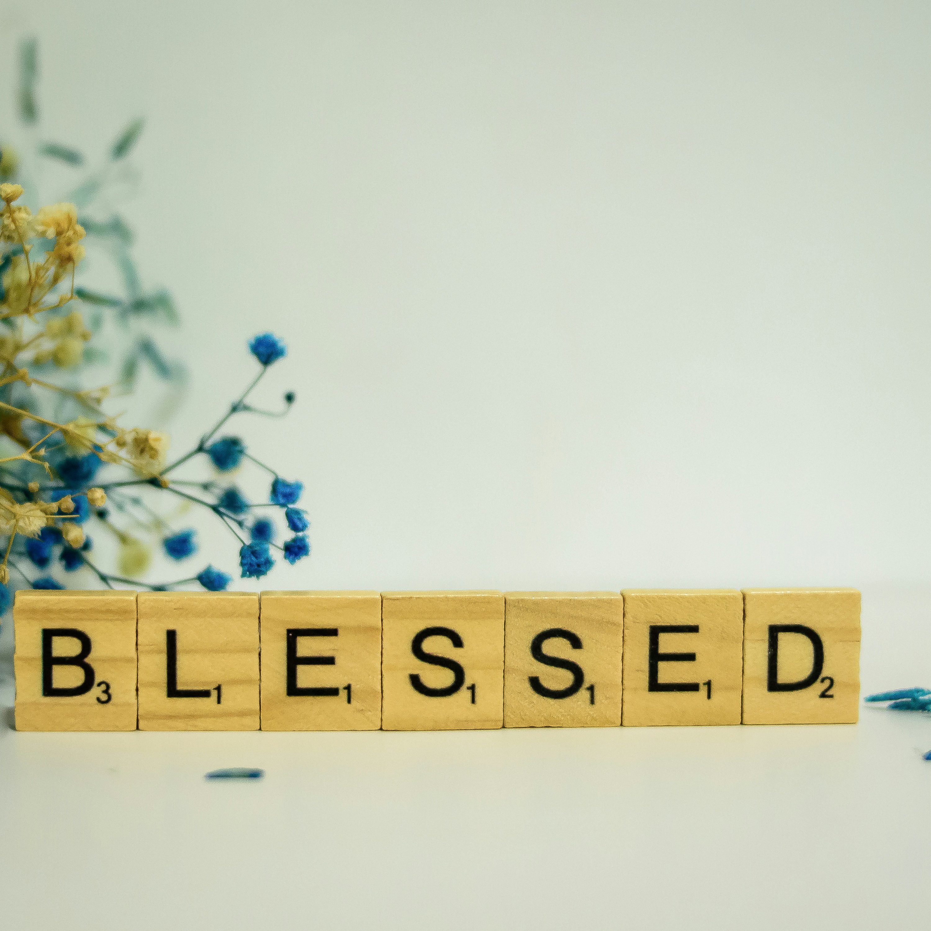To Believe is to be Blessed episode artwork