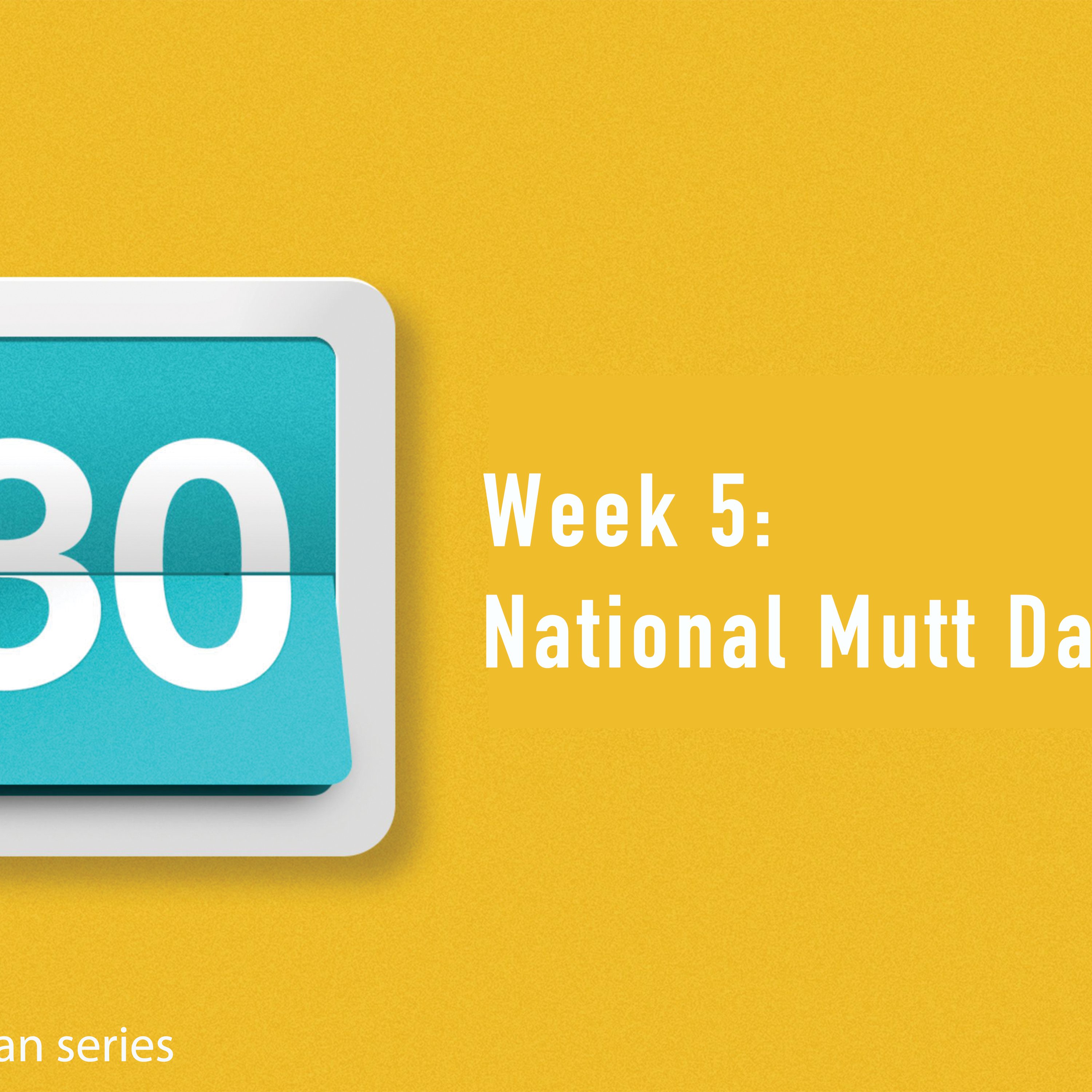 National Mutt Day episode artwork