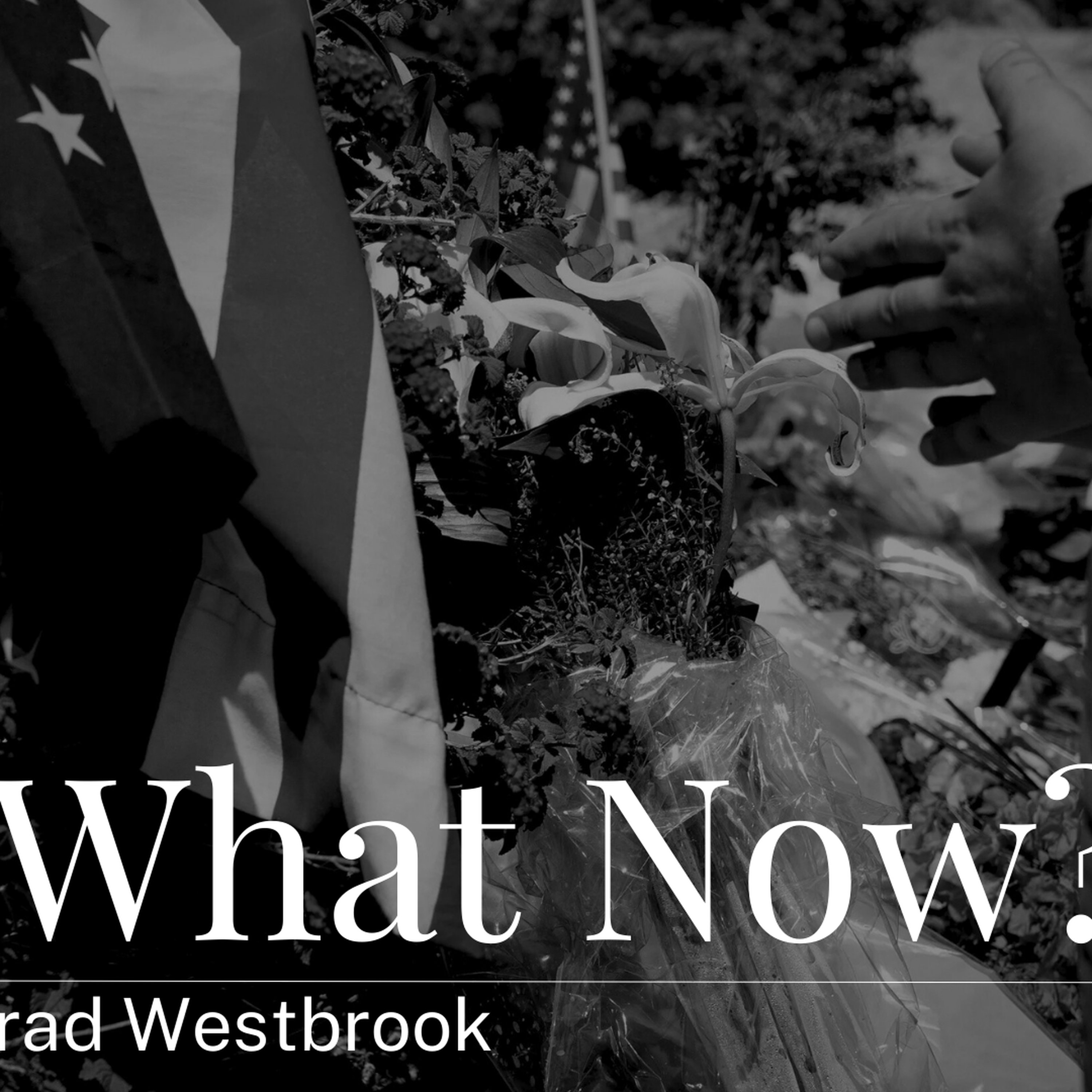 So, what now? episode artwork