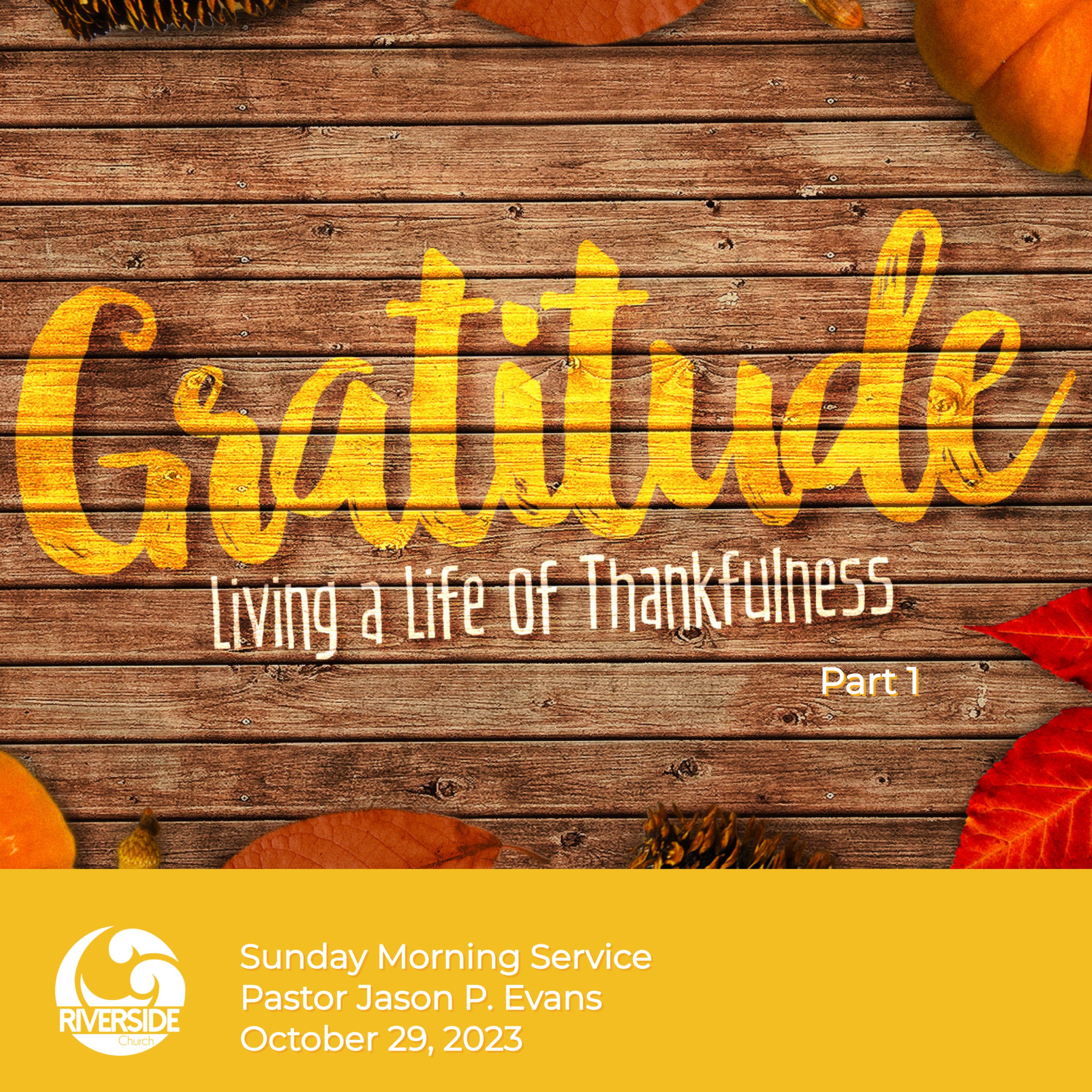 Gratitude: Part 1 episode artwork