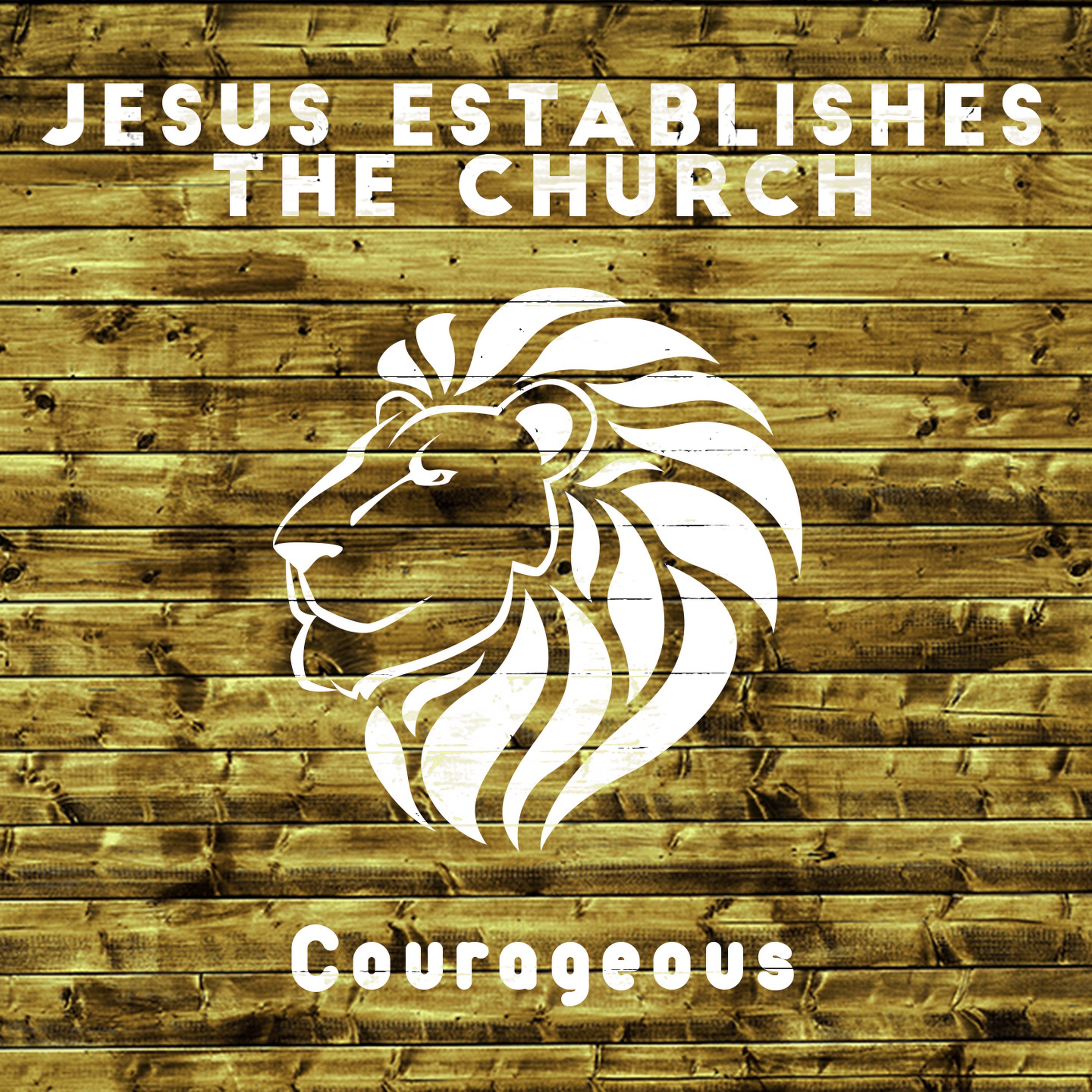Jesus Established- Courageous episode artwork