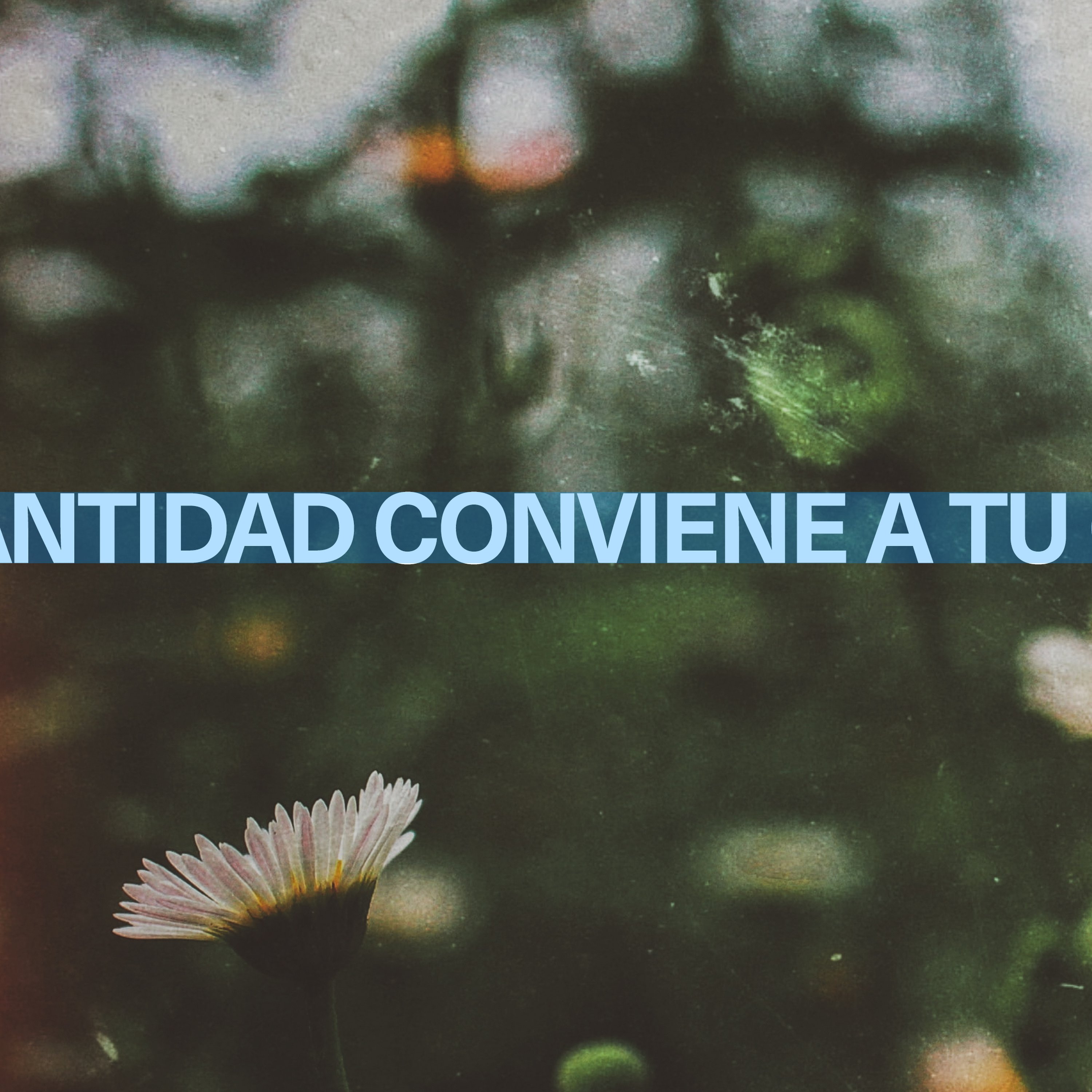La Santidad Conviene A Tu Casa episode artwork