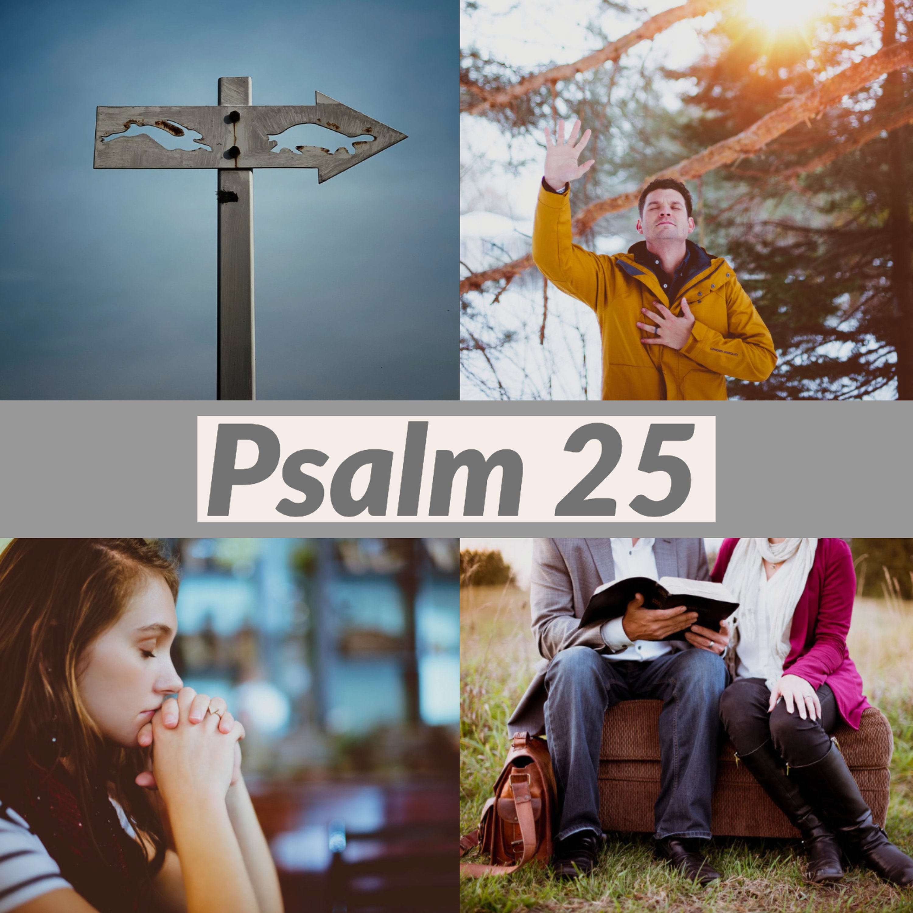 Psalm 25 episode artwork