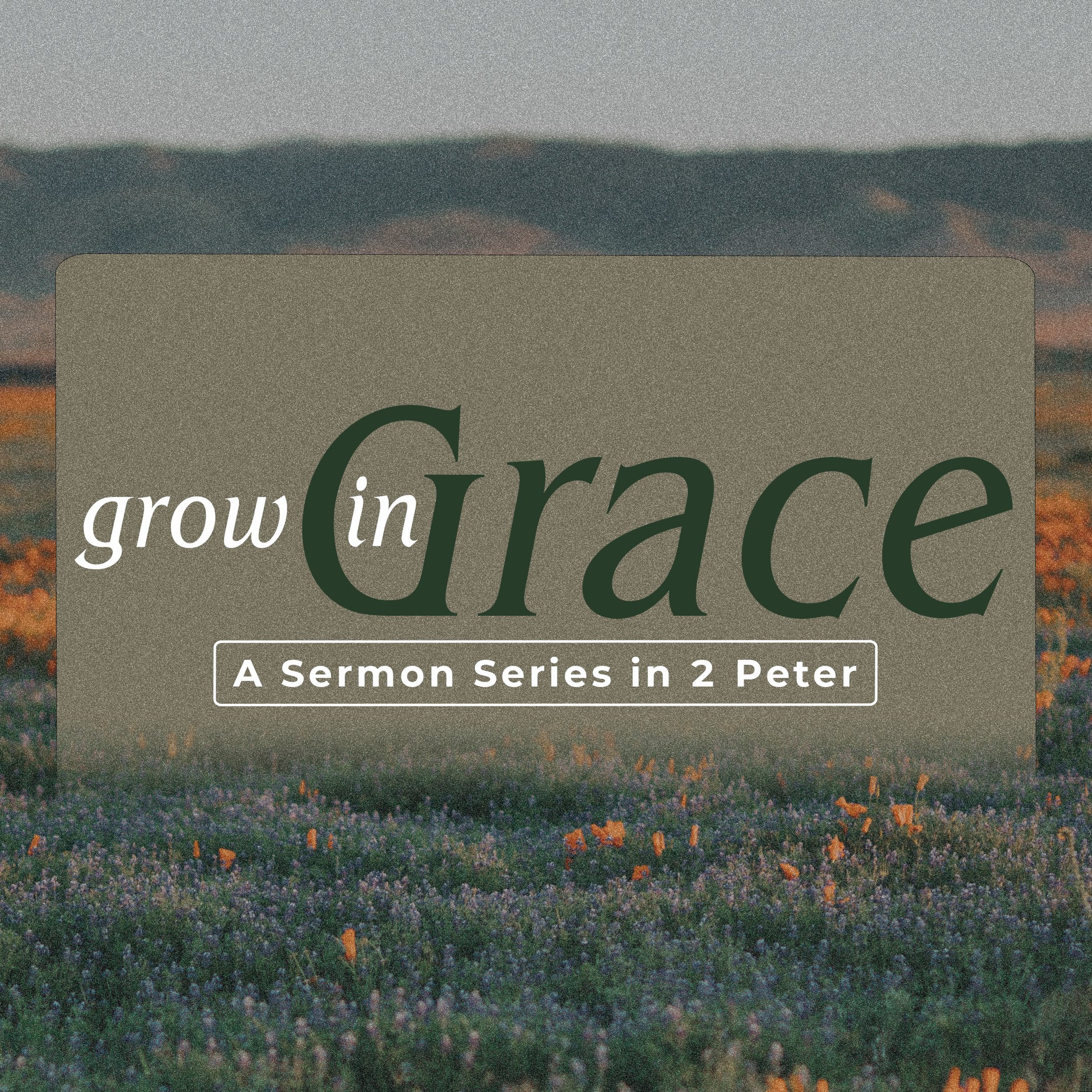 2 Peter 1:1-11 | Grow in Grace: Grow With It episode artwork