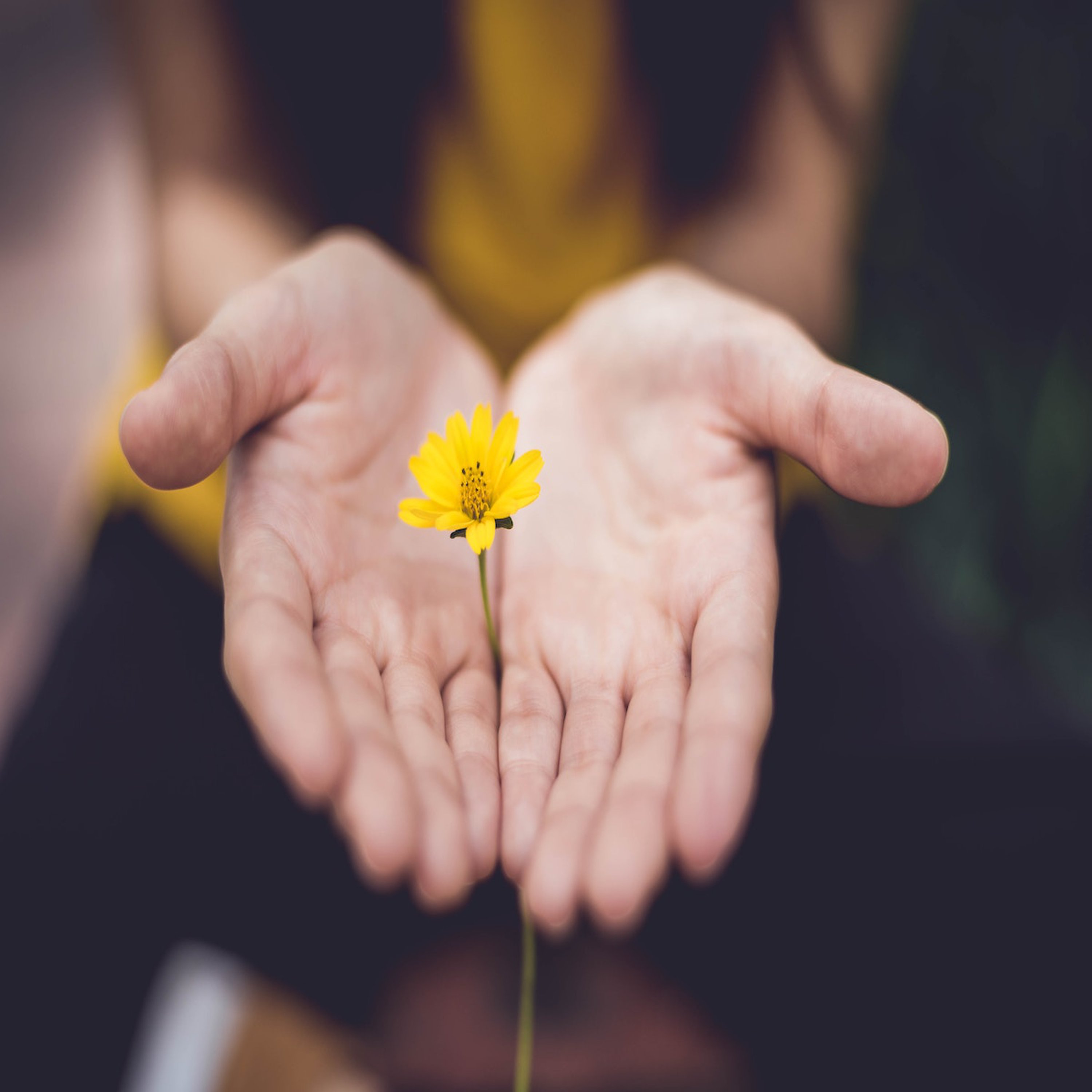 Standalone Sermon: 7 Reasons to Give Generously - 2 Cor. 9:6-15 episode artwork