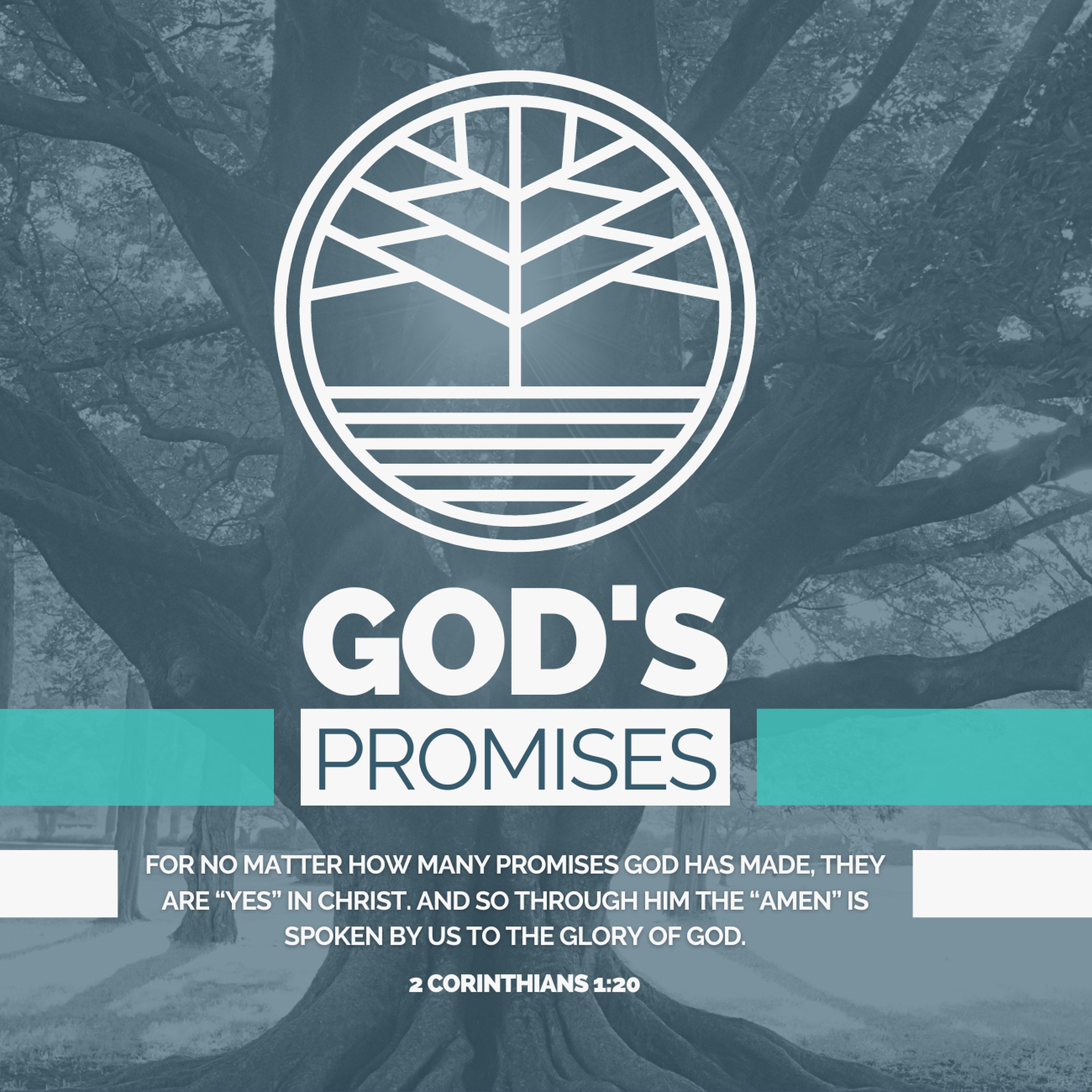 The Church of Grace and Peace Podcast