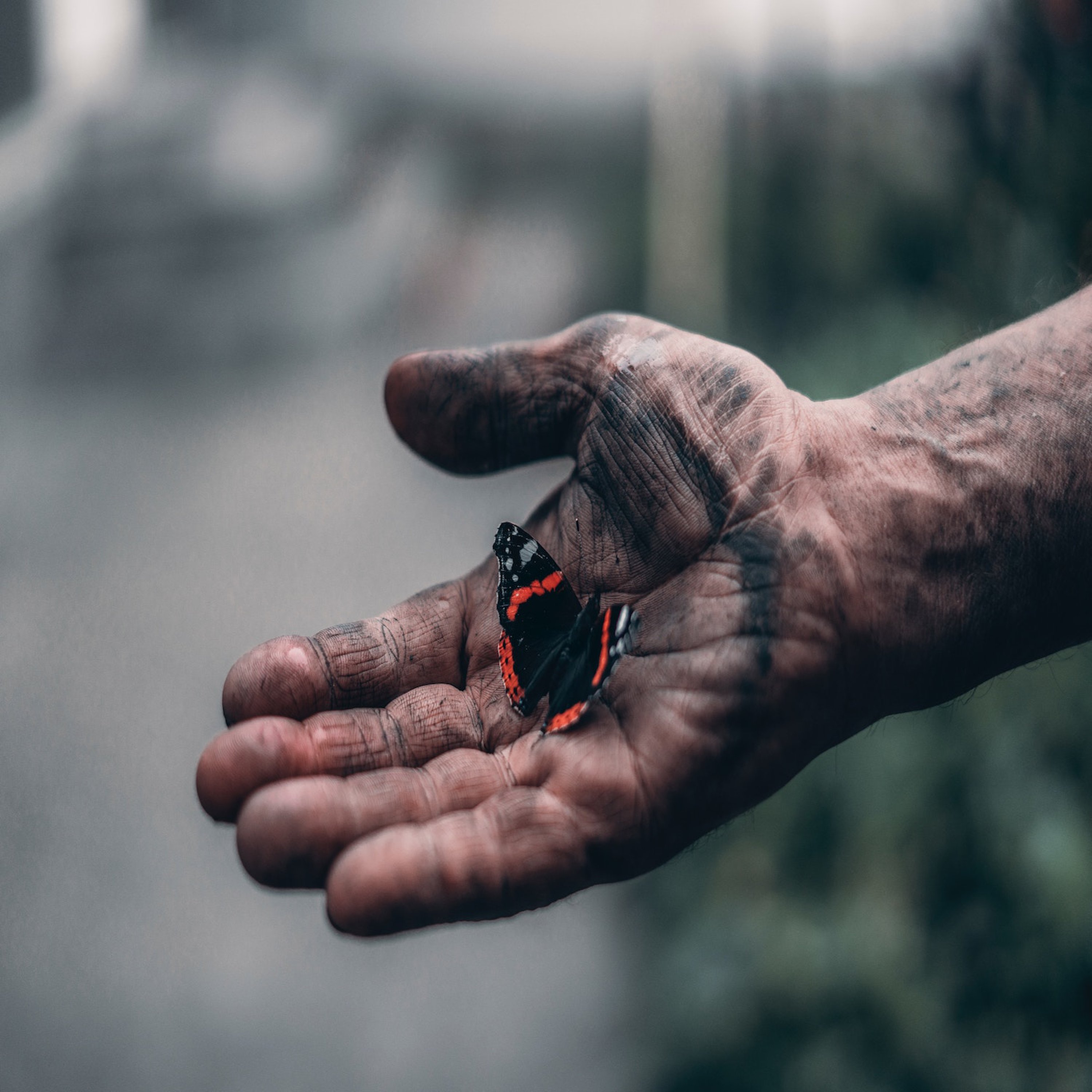 Hope for Hopeless Lives - Mark 5 episode artwork