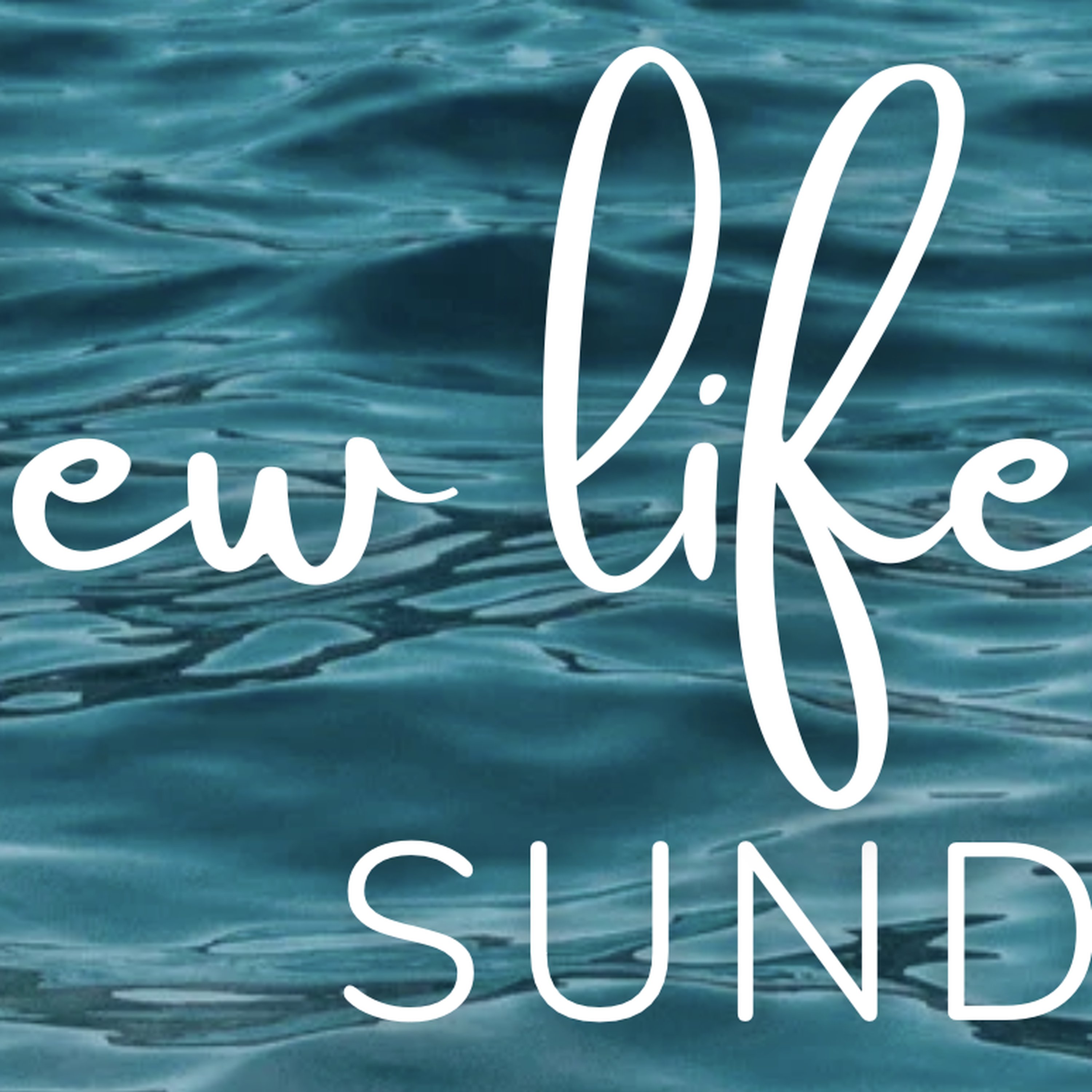 New Life Sunday - 1 John 1:1-4 episode artwork