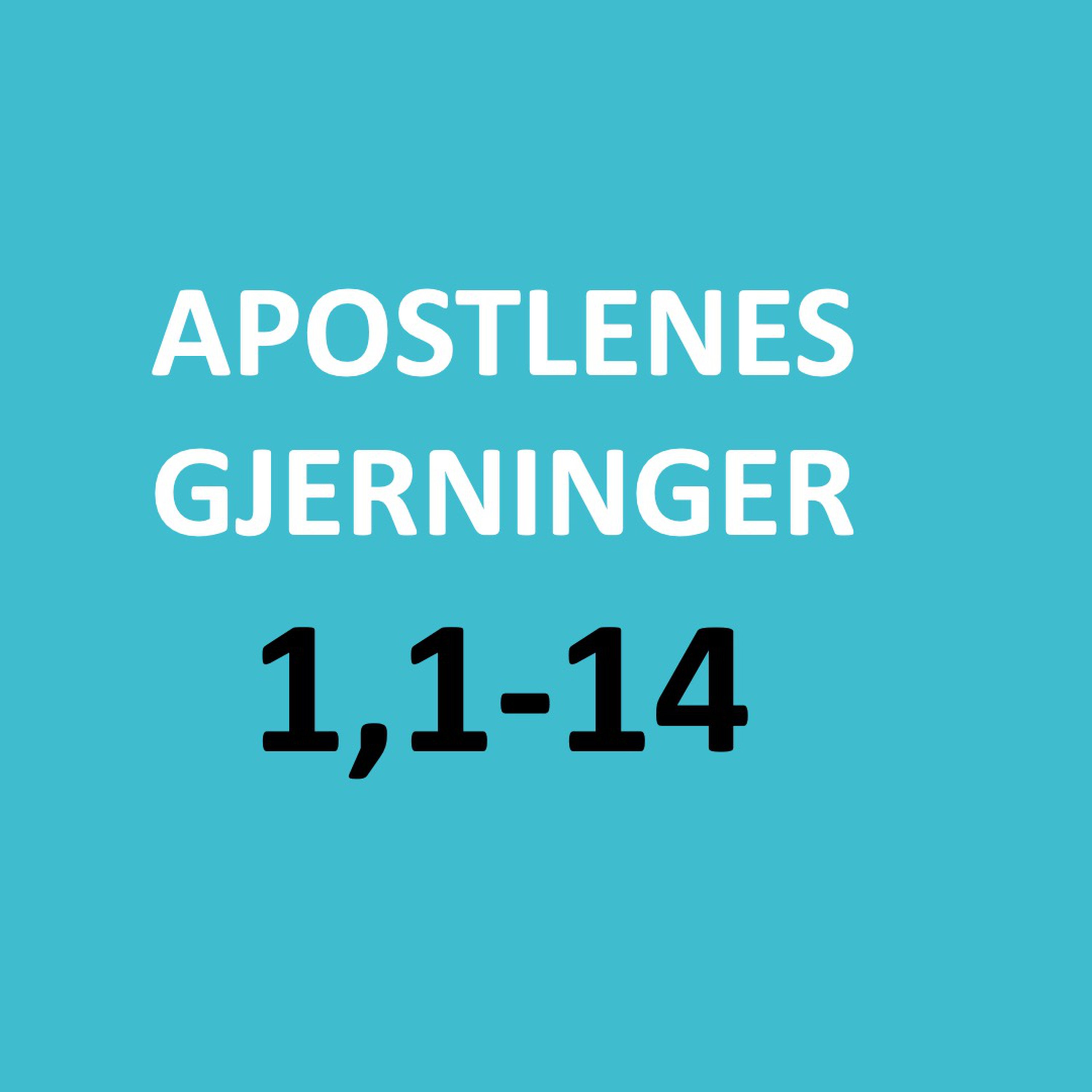 Apgj 1,1-14 - Odd Magnus Venås episode artwork