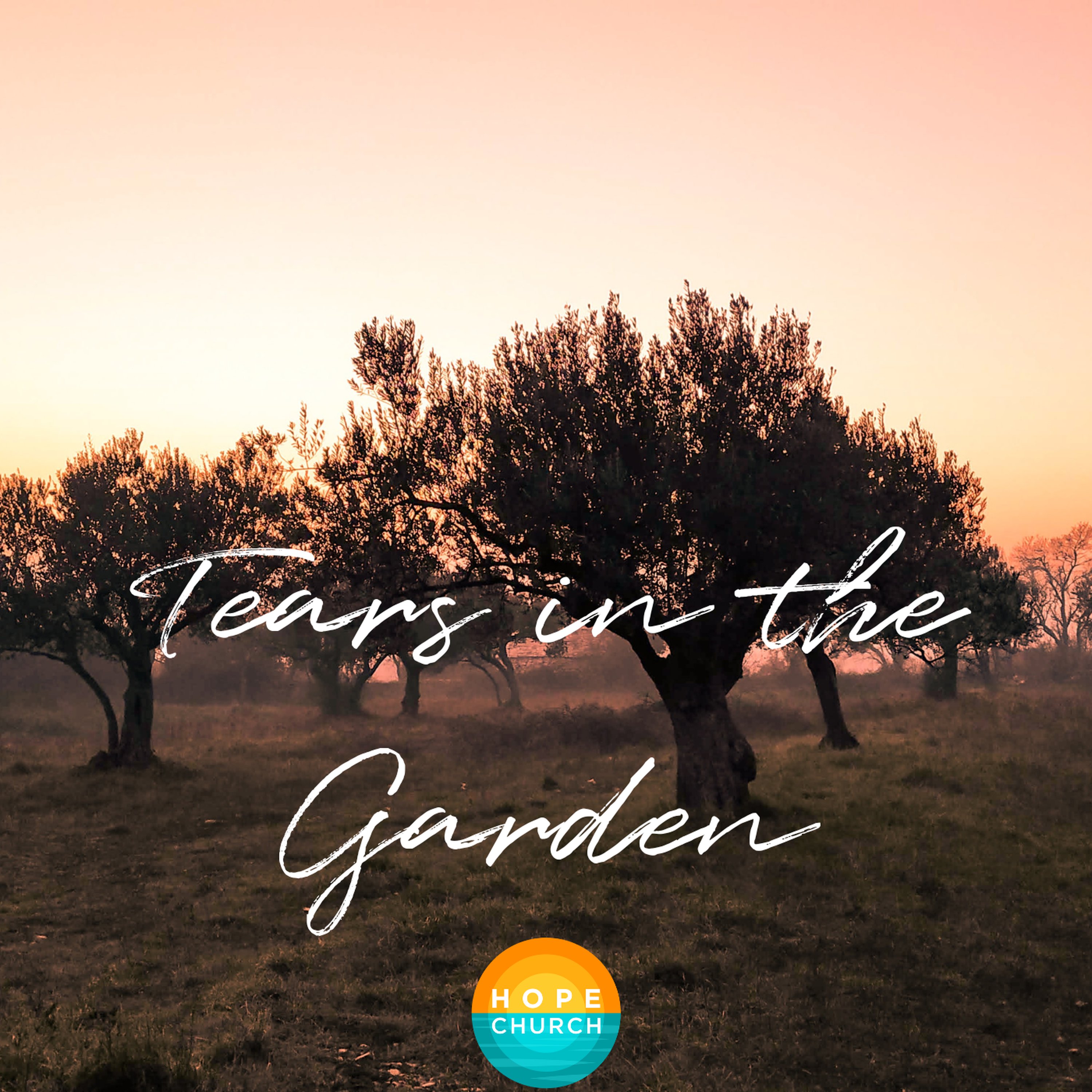 Tears in the Garden episode artwork