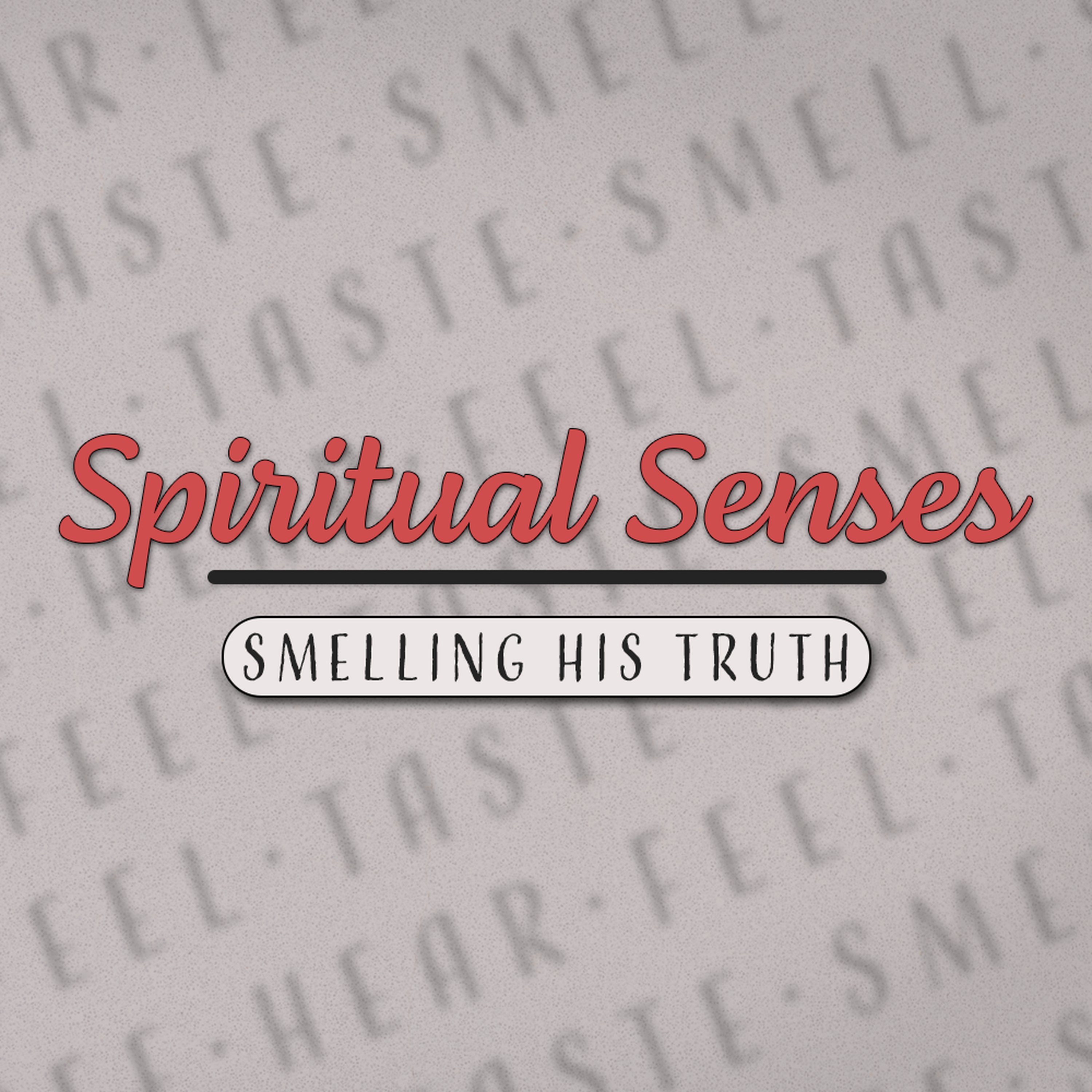 Trinity Alliance Sermon Podcast Feed