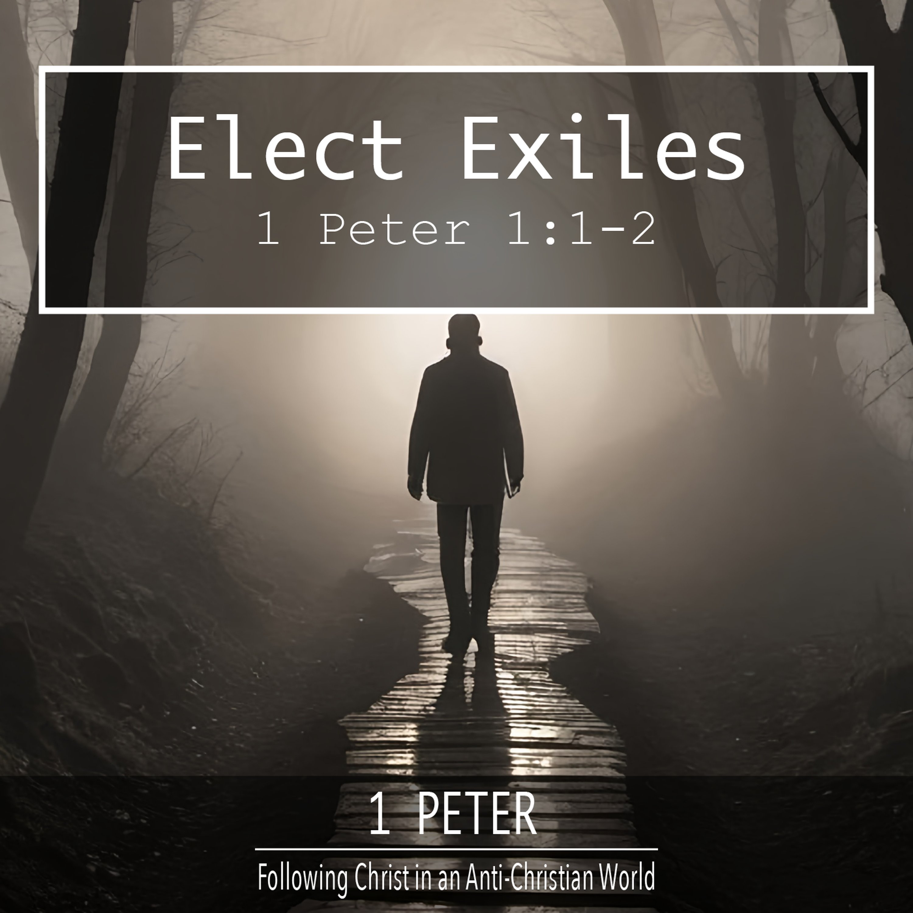Elect Exiles episode artwork