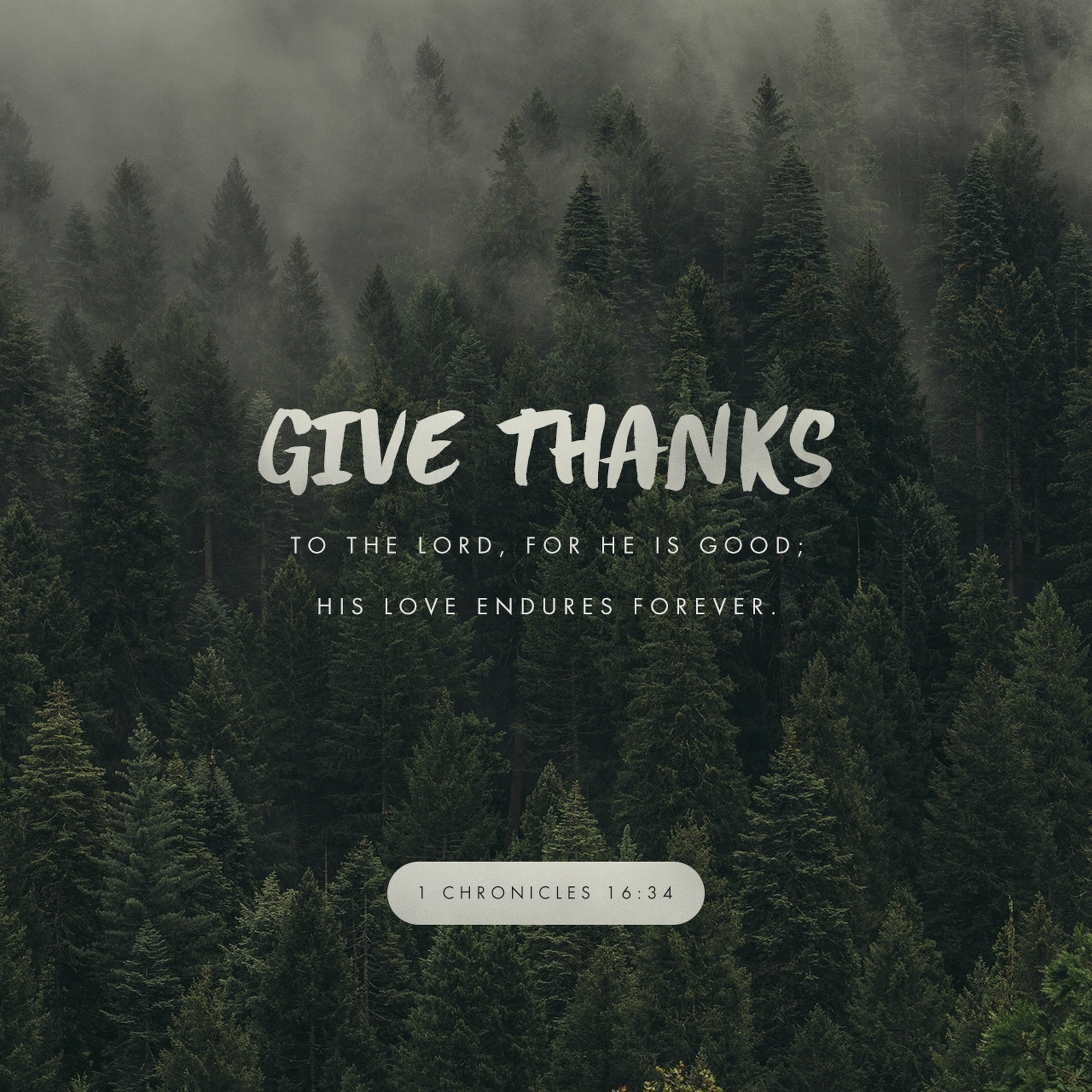 On the 50th Day