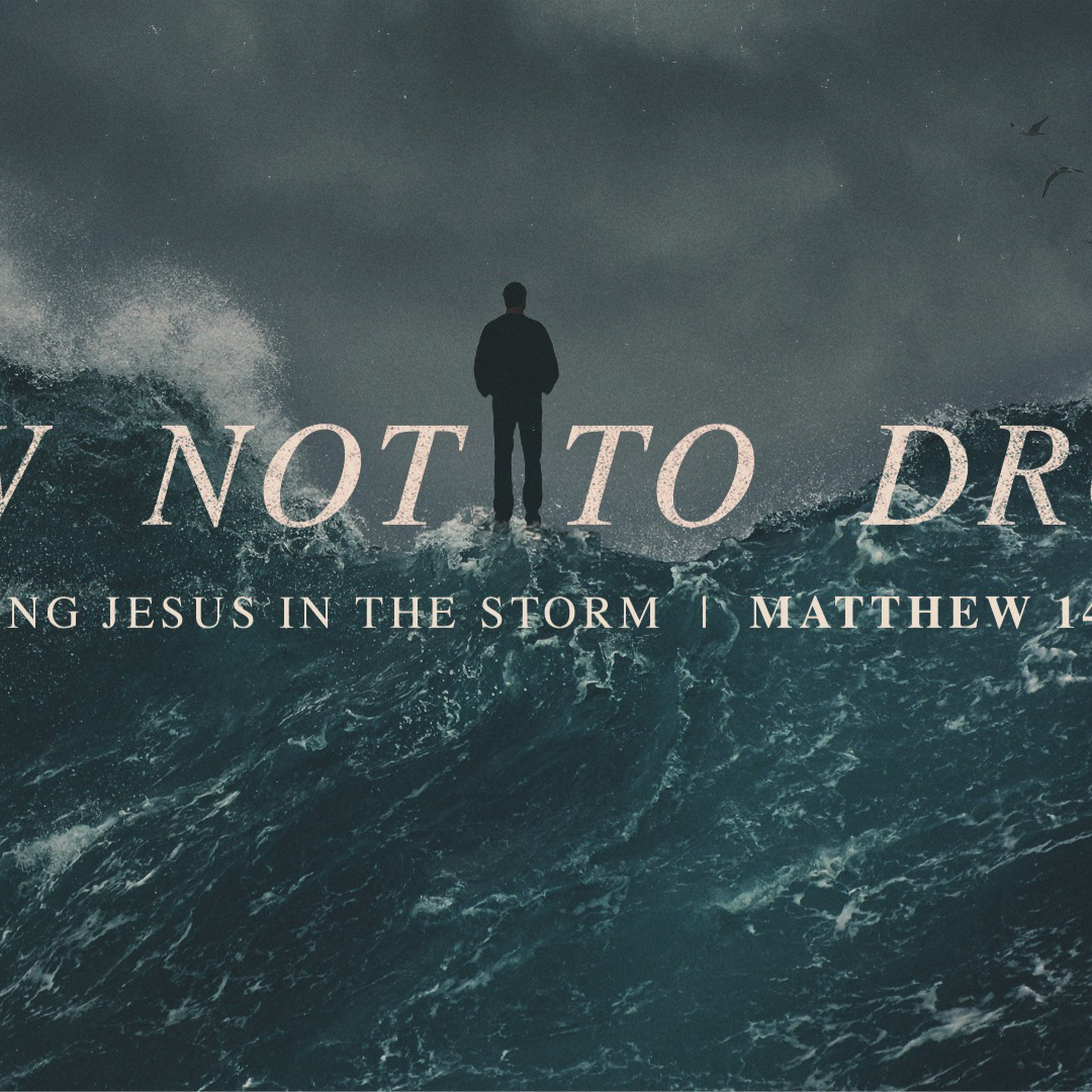 How Not to Drown | Matthew 14:22-33 episode artwork