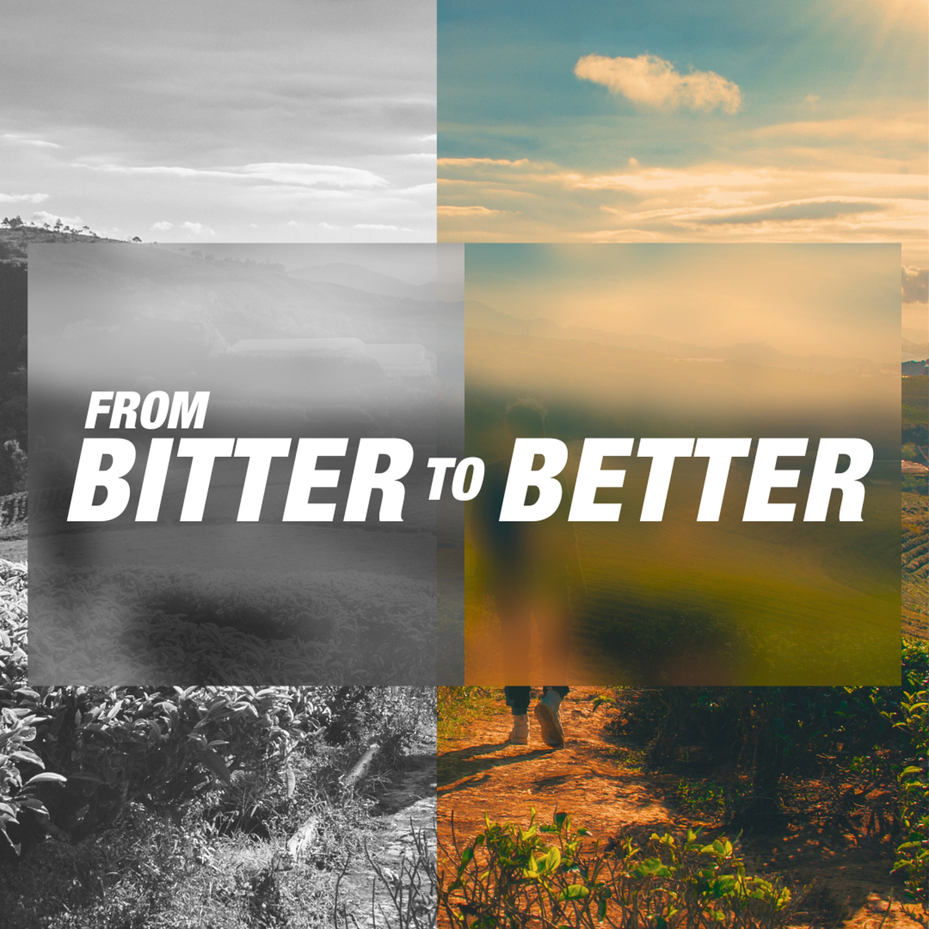 From Bitter to Better | Part 2 episode artwork